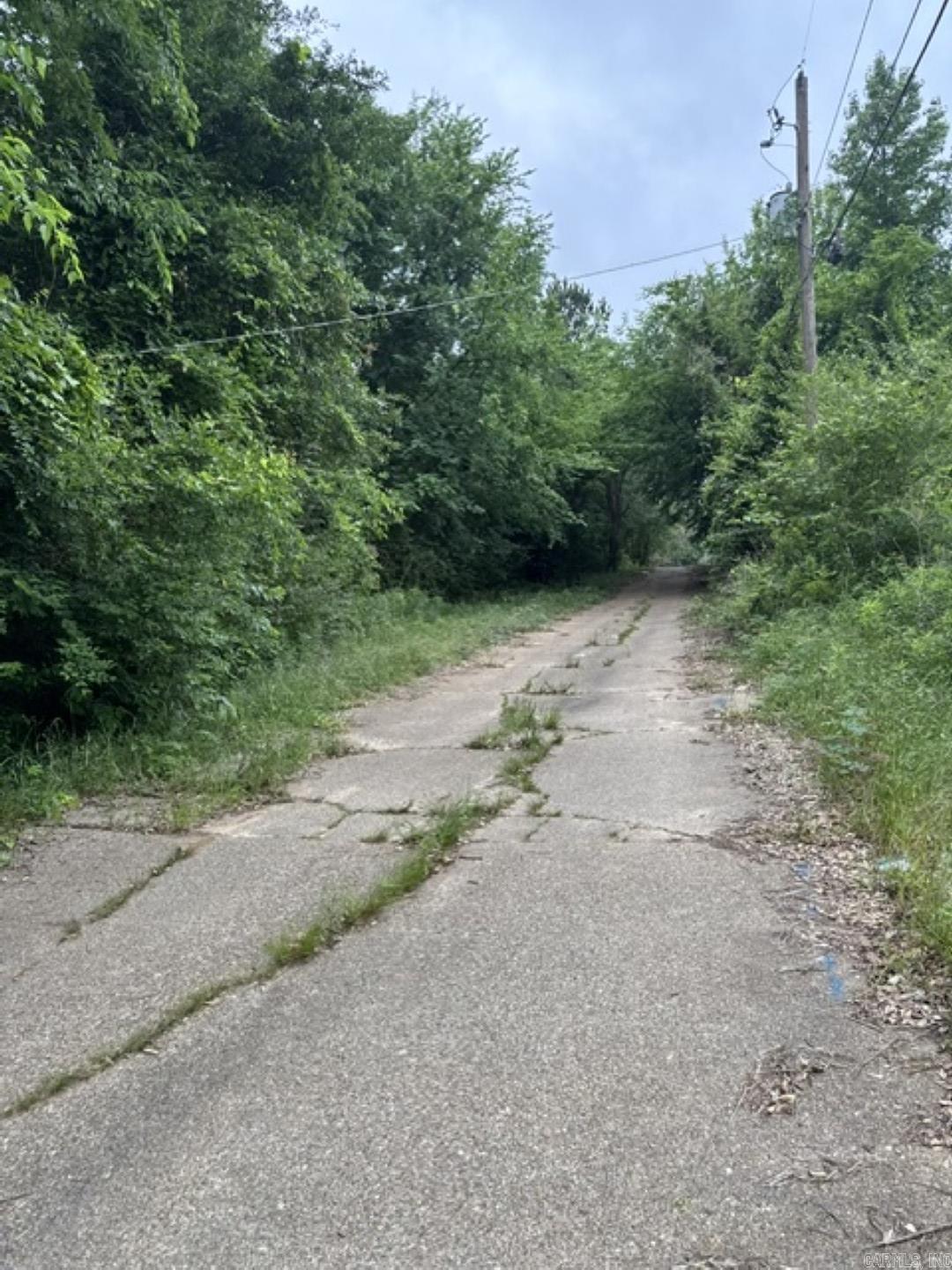 7 Lots On Ouachita Property Photo 3