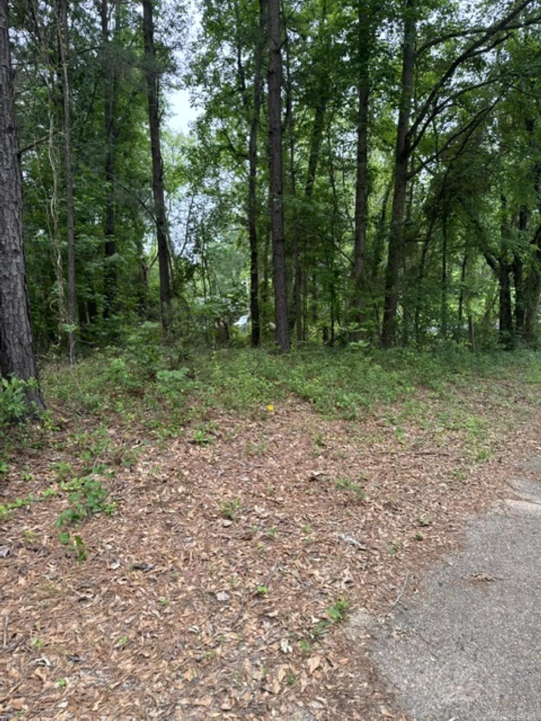 7 Lots On Ouachita Property Photo 4