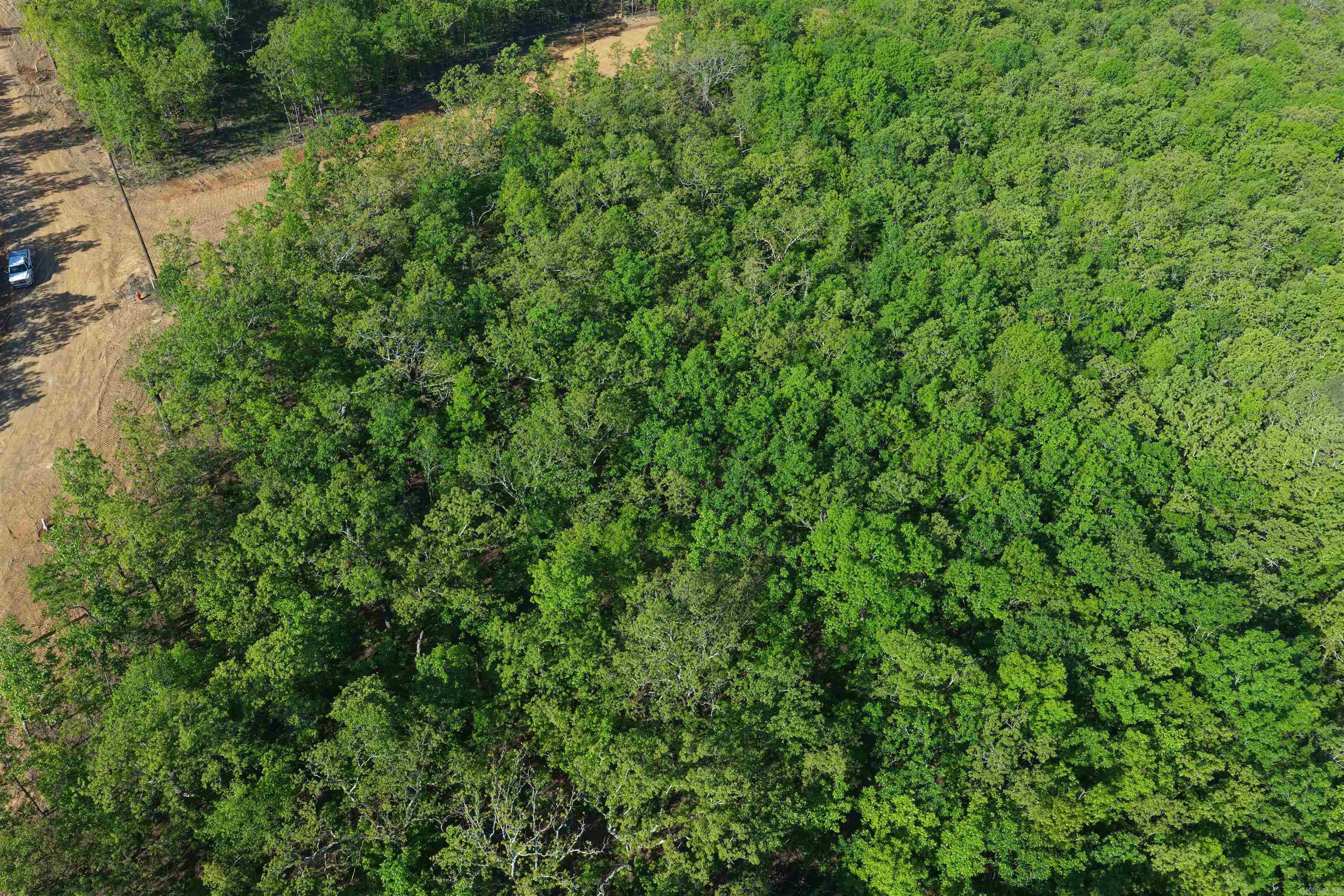 2 Cherokee Cove Property Photo 8