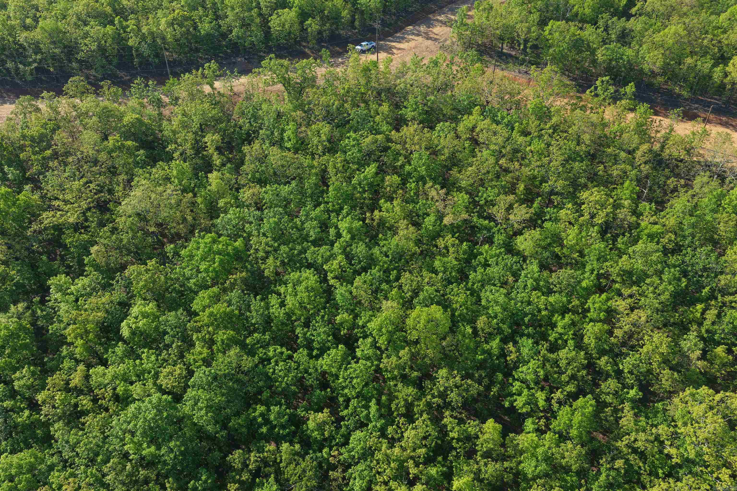 2 Cherokee Cove Property Photo 9