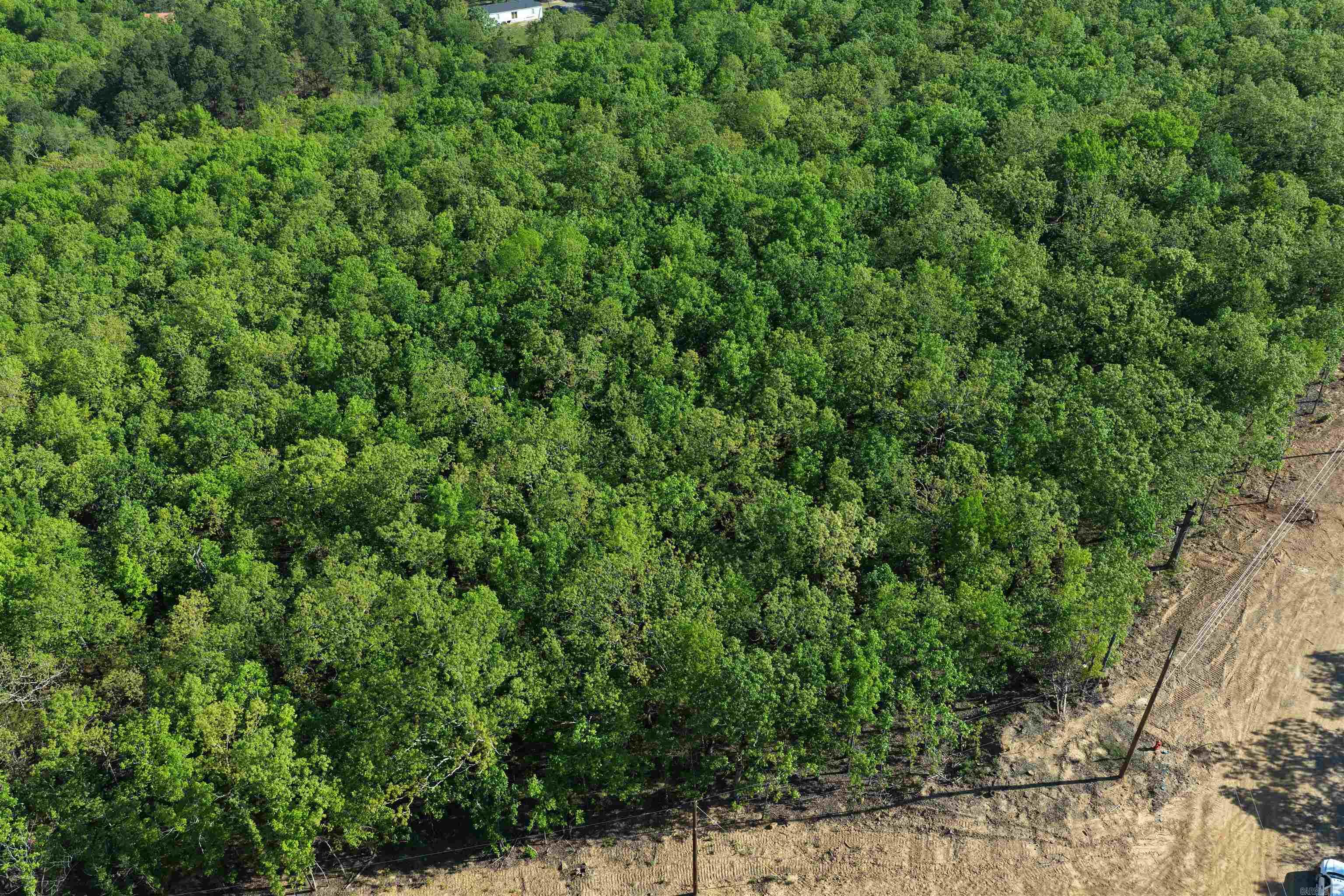 2 Cherokee Cove Property Photo 10