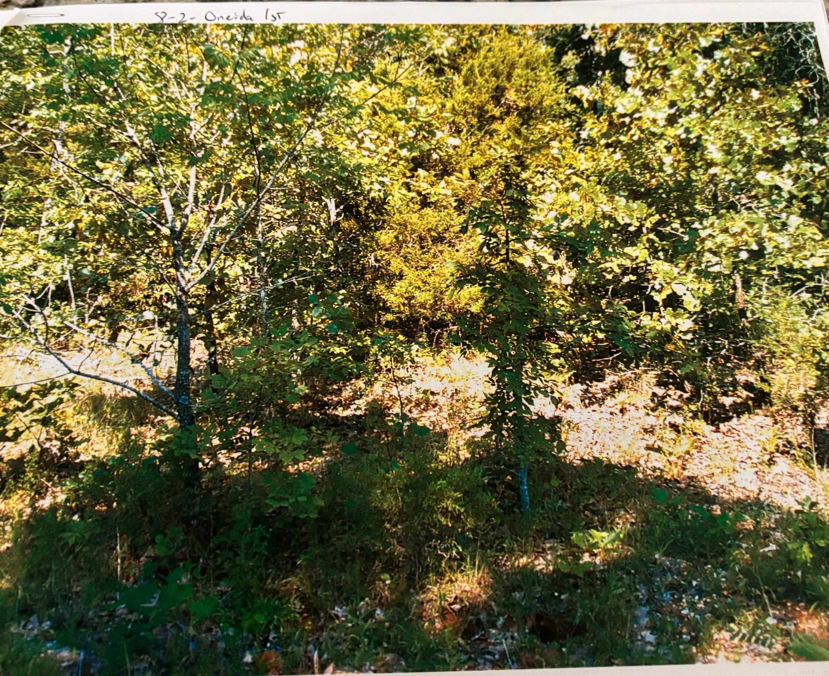TBD Wahoo Drive Property Photo 1