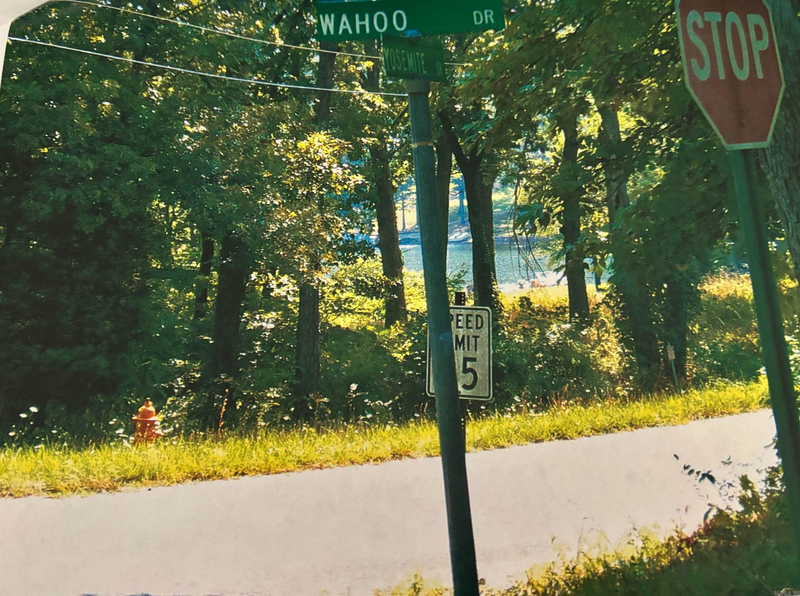 Tbd Wahoo Drive Property Photo 2