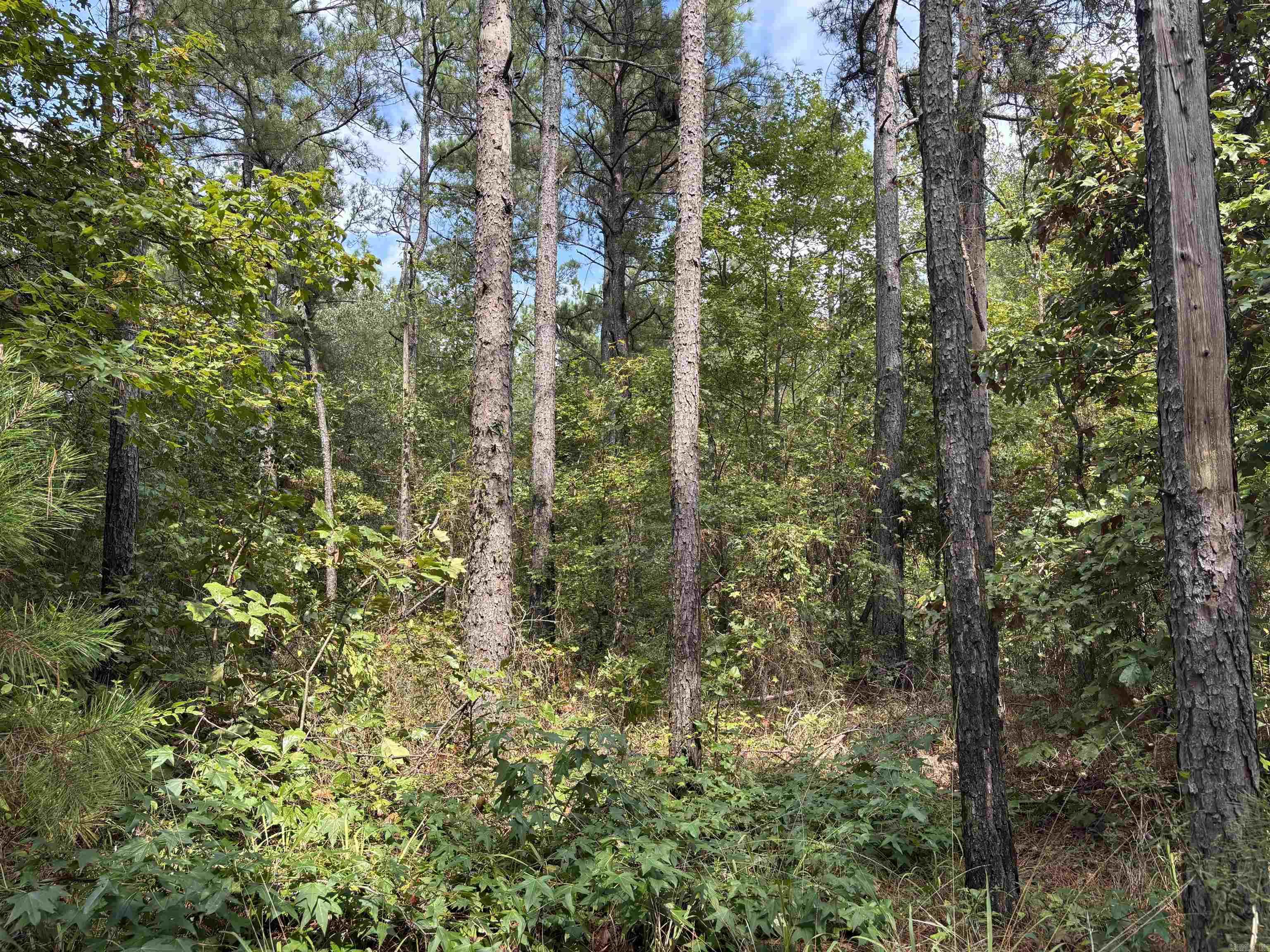 000 Avalon Road Property Photo 4