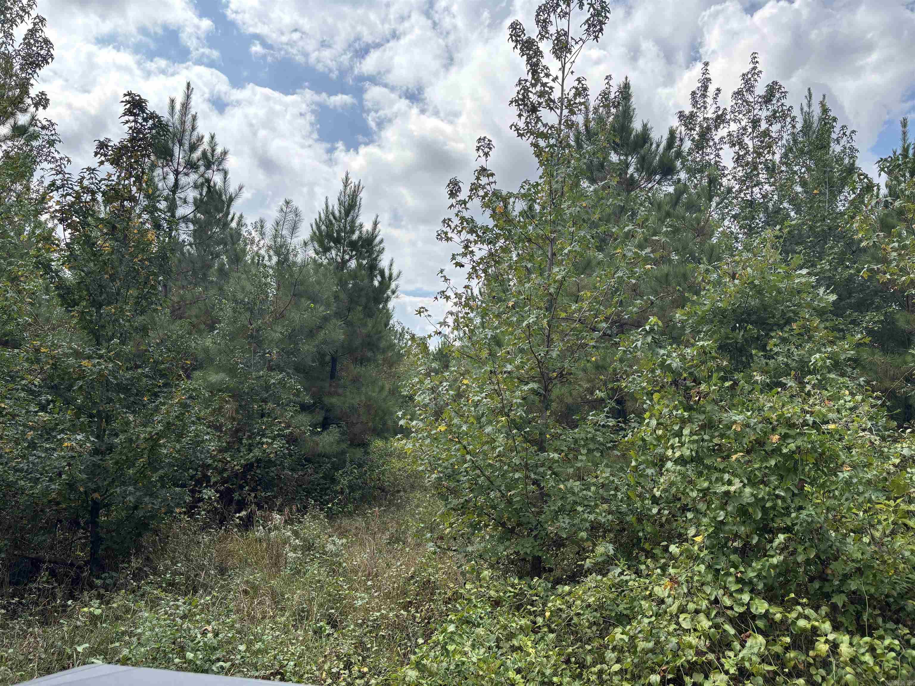 000 Avalon Road Property Photo 6