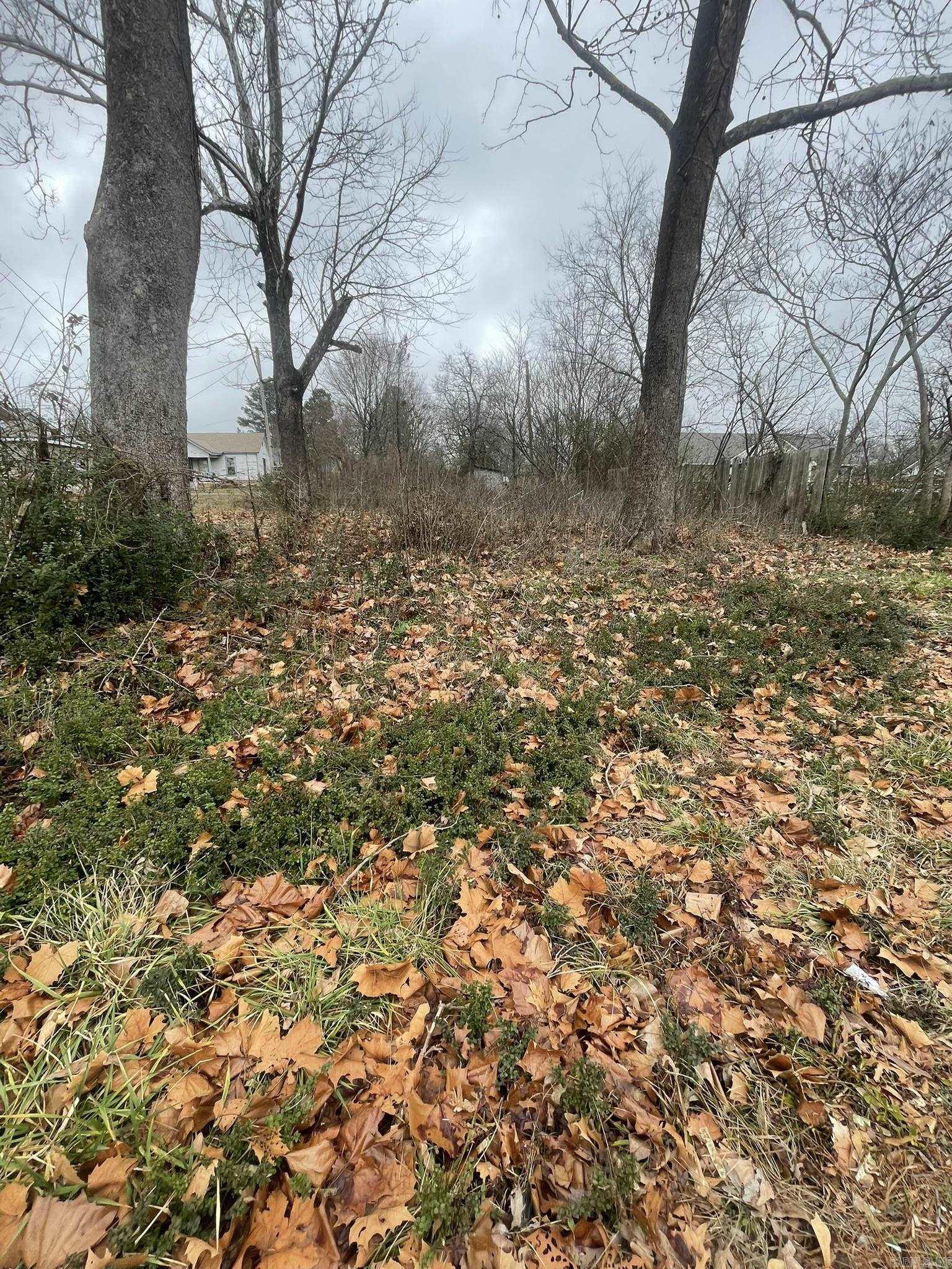 906 Elm Avenue Property Photo 4