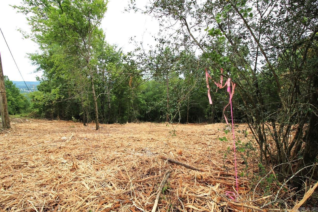 00 Mt. Riante Road Property Photo 6