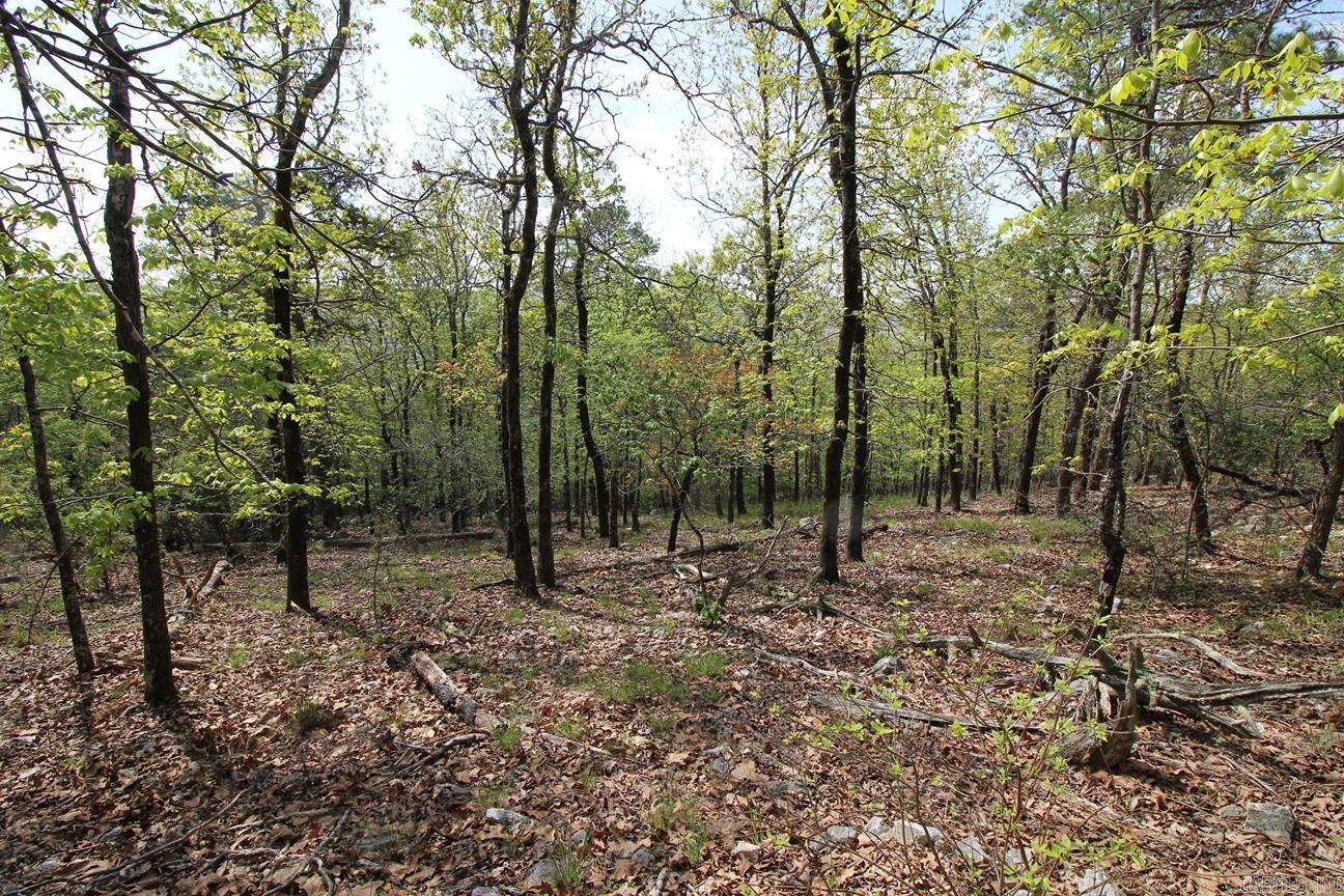 00 Mt. Riante Road Property Photo 13