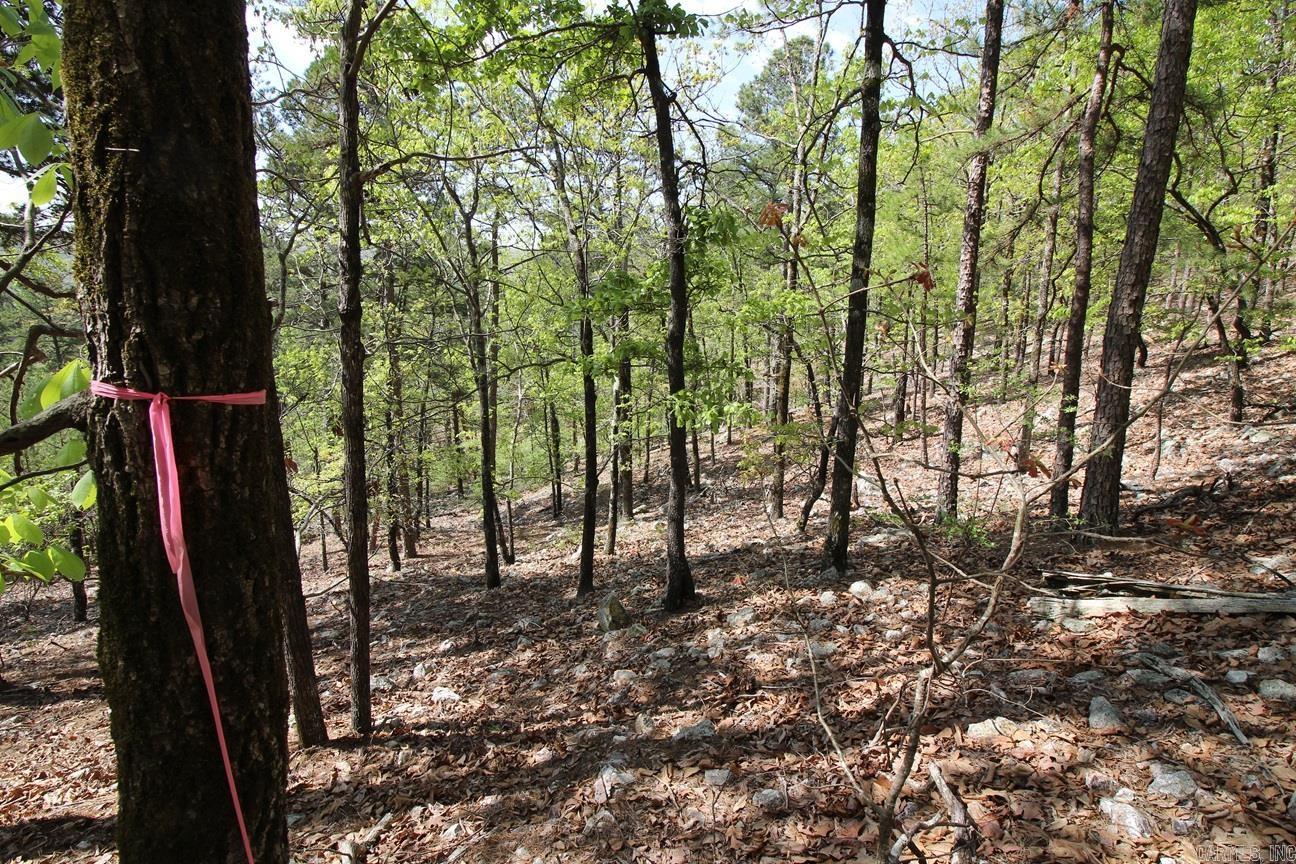 00 Mt. Riante Road Property Photo 16