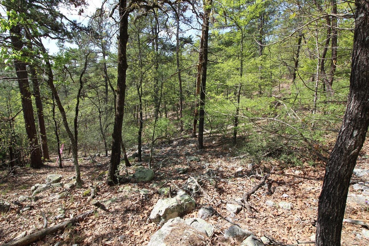 00 Mt. Riante Road Property Photo 17