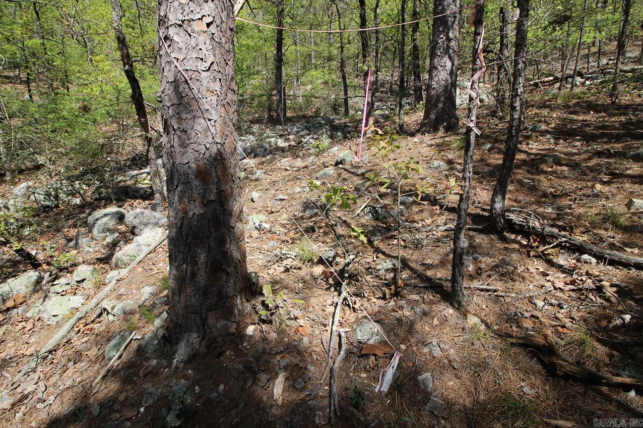 00 Mt. Riante Road Property Photo 19