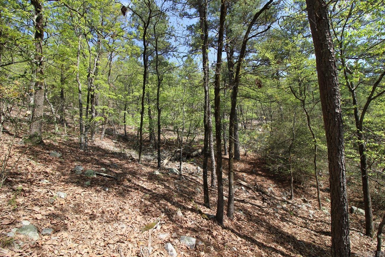 00 Mt. Riante Road Property Photo 20
