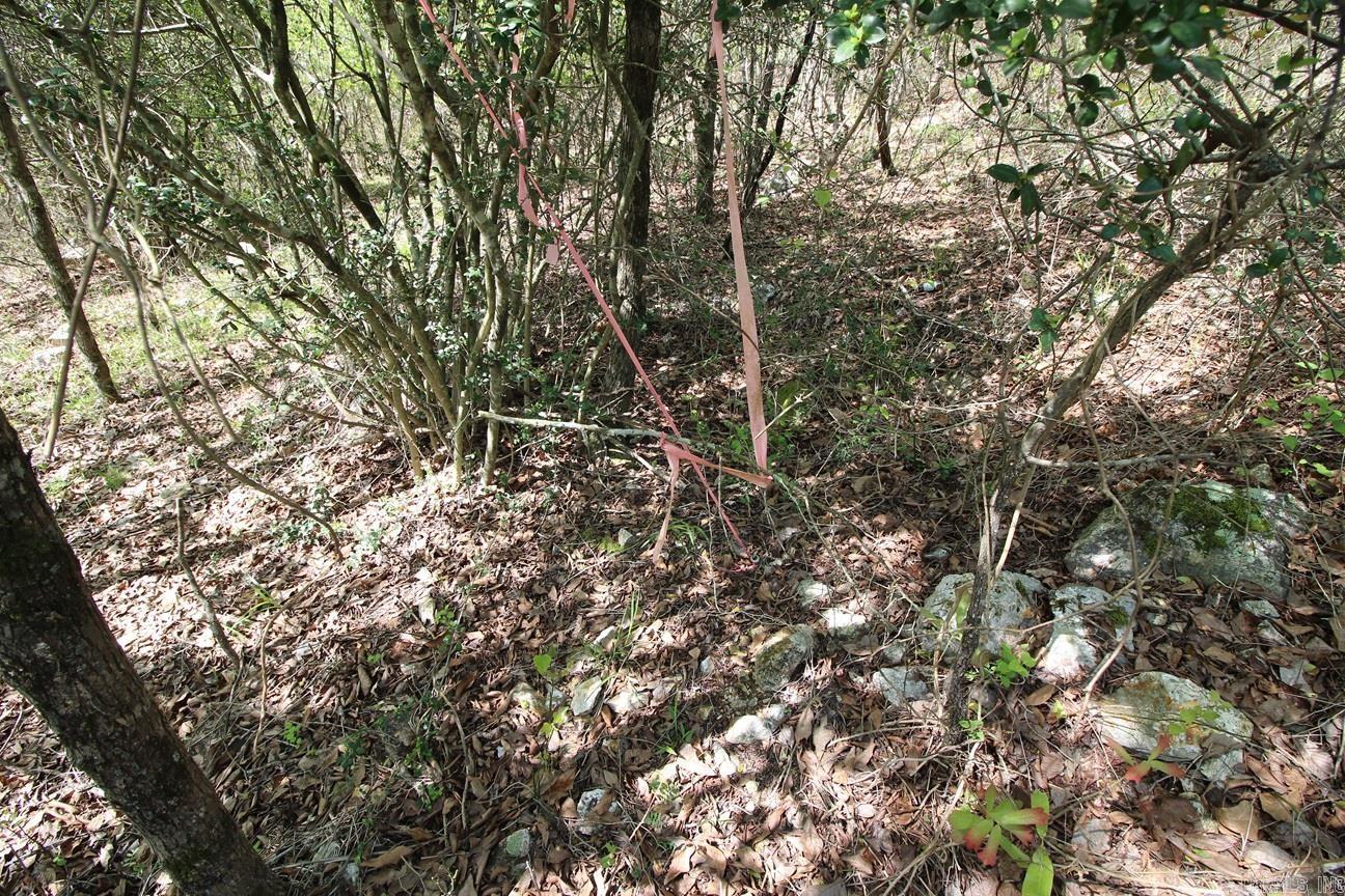 00 Mt. Riante Road Property Photo 23