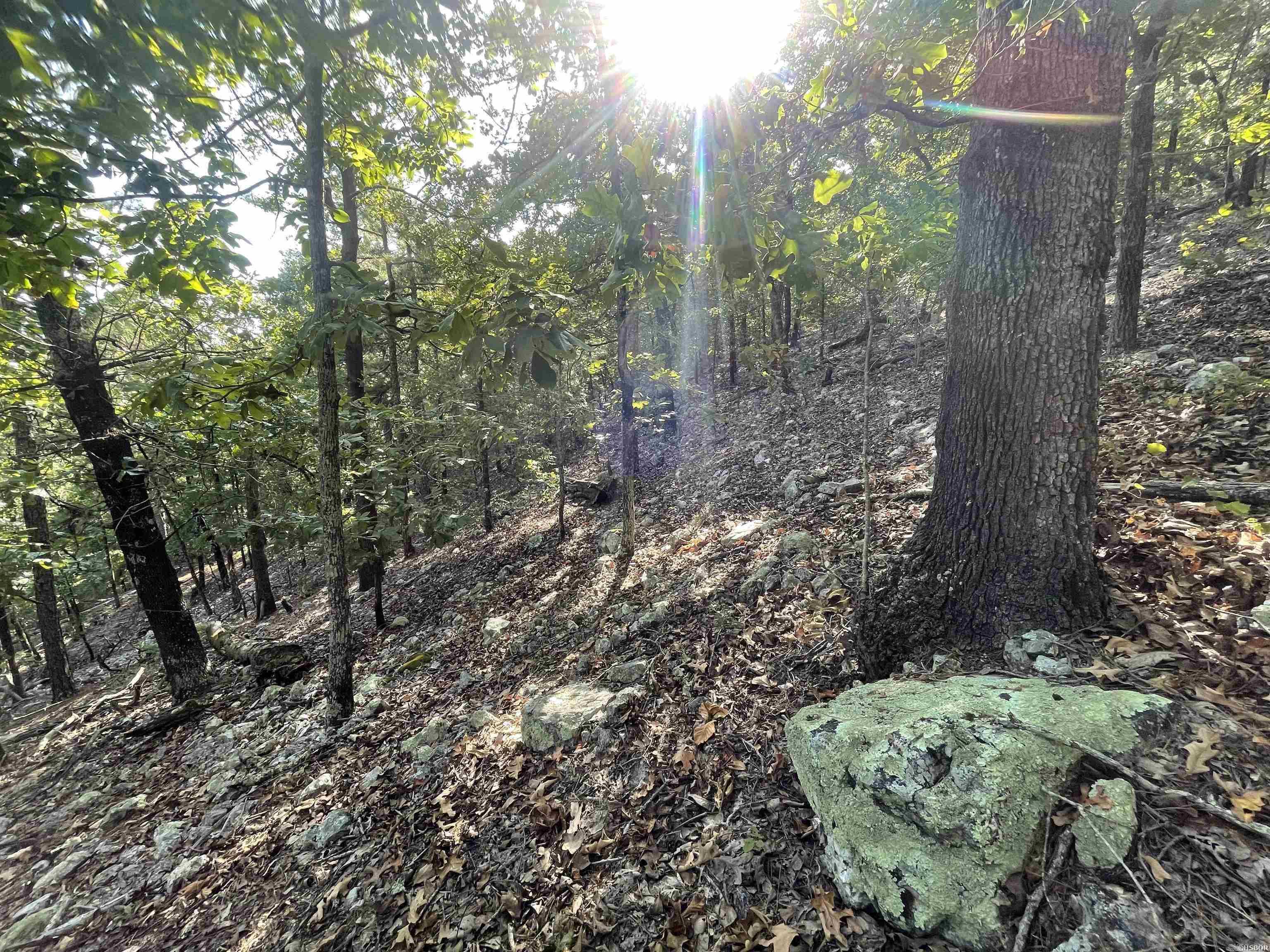 00 Mt. Riante Road Property Photo 25