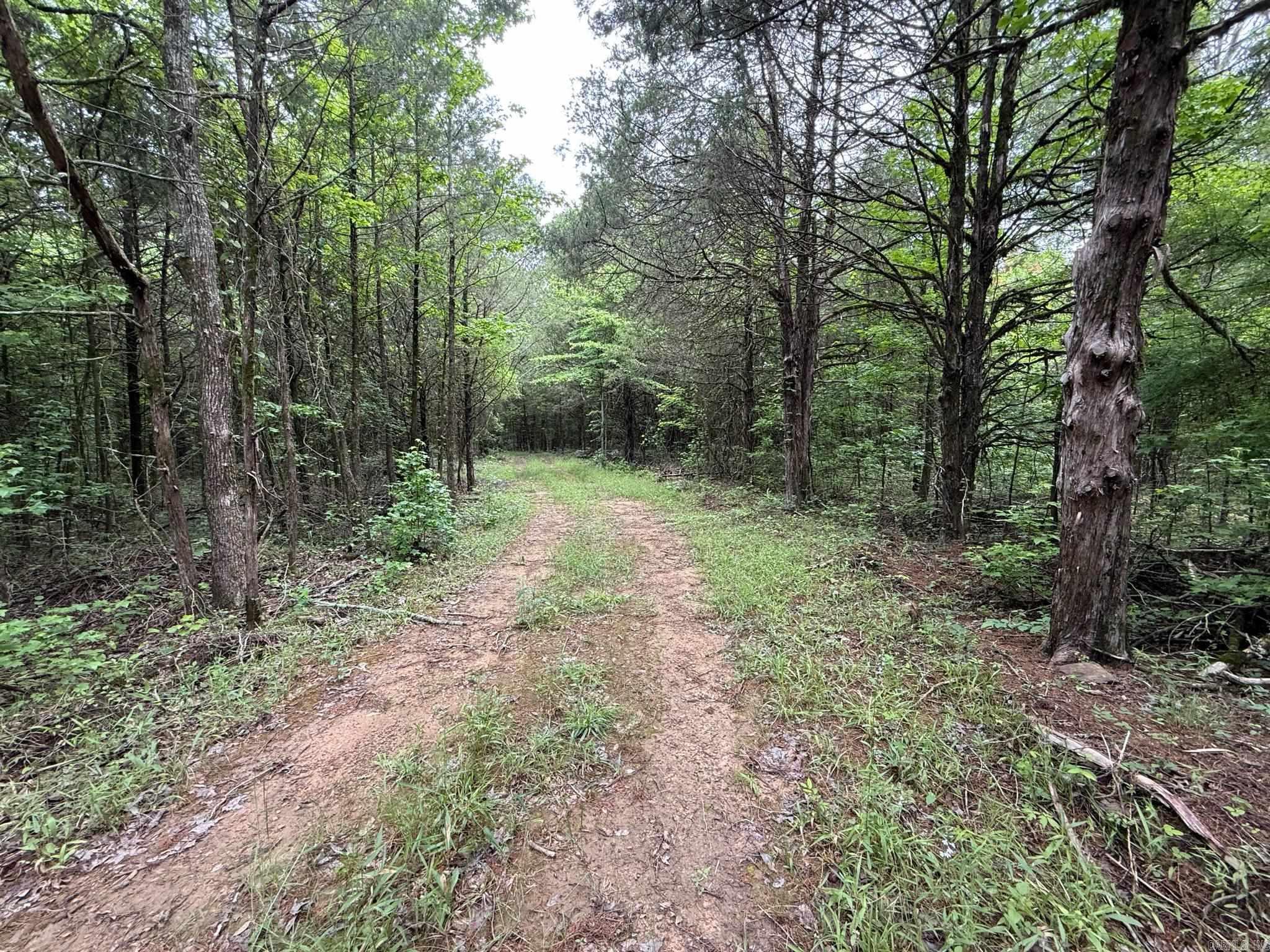 256 Rambo Loop Property Photo 3