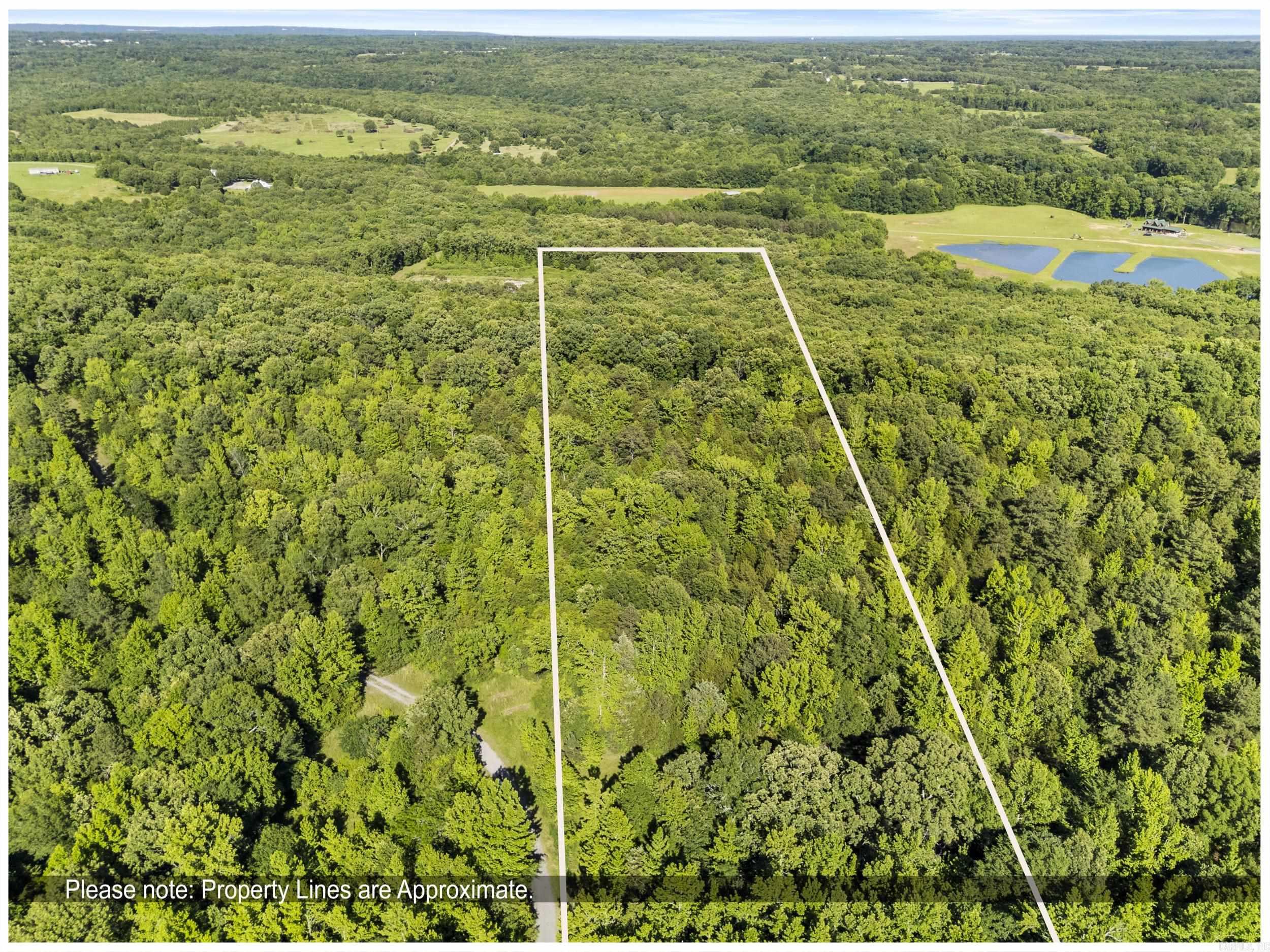 256 Rambo Loop Property Photo 4