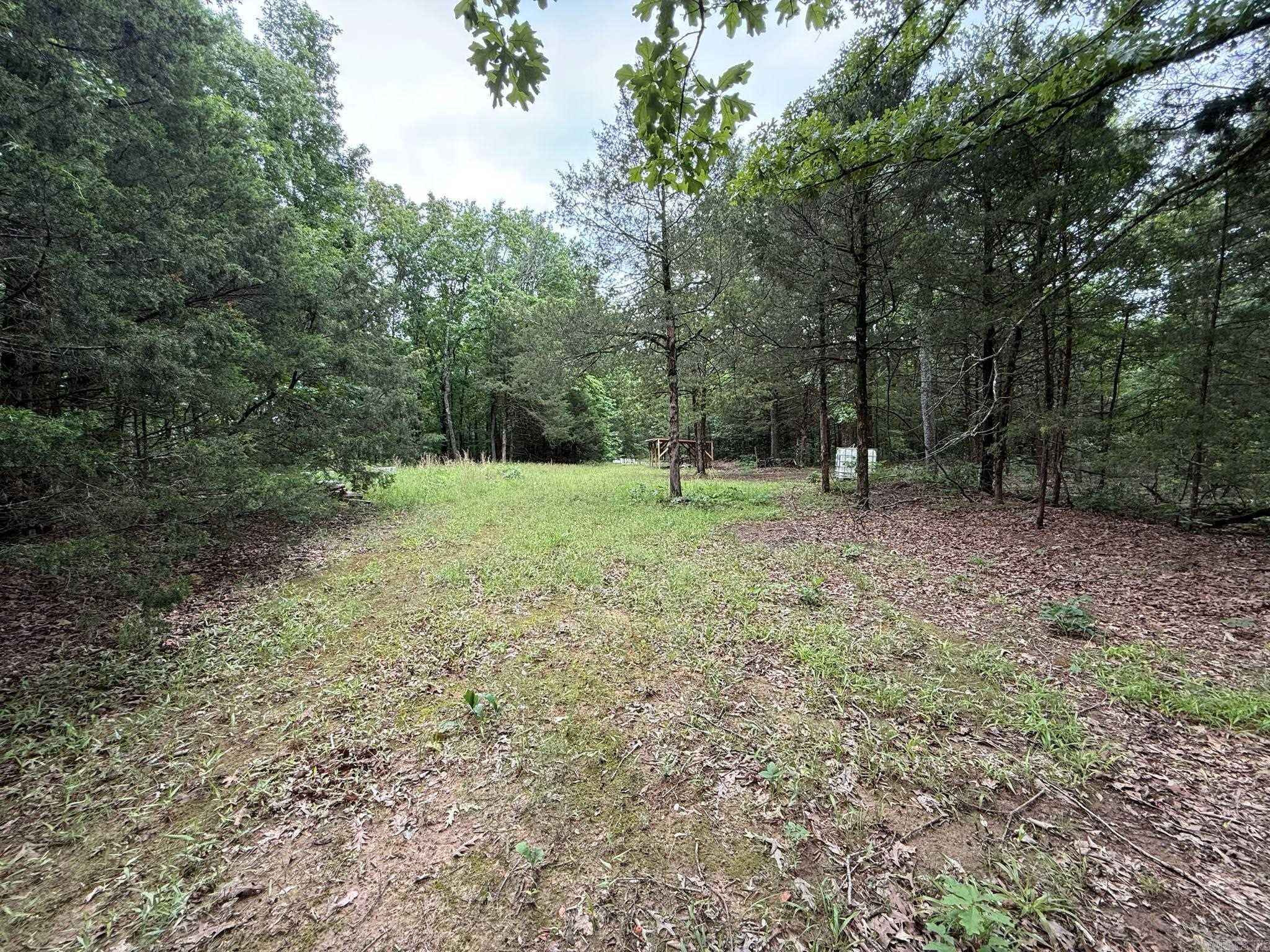 256 Rambo Loop Property Photo 5
