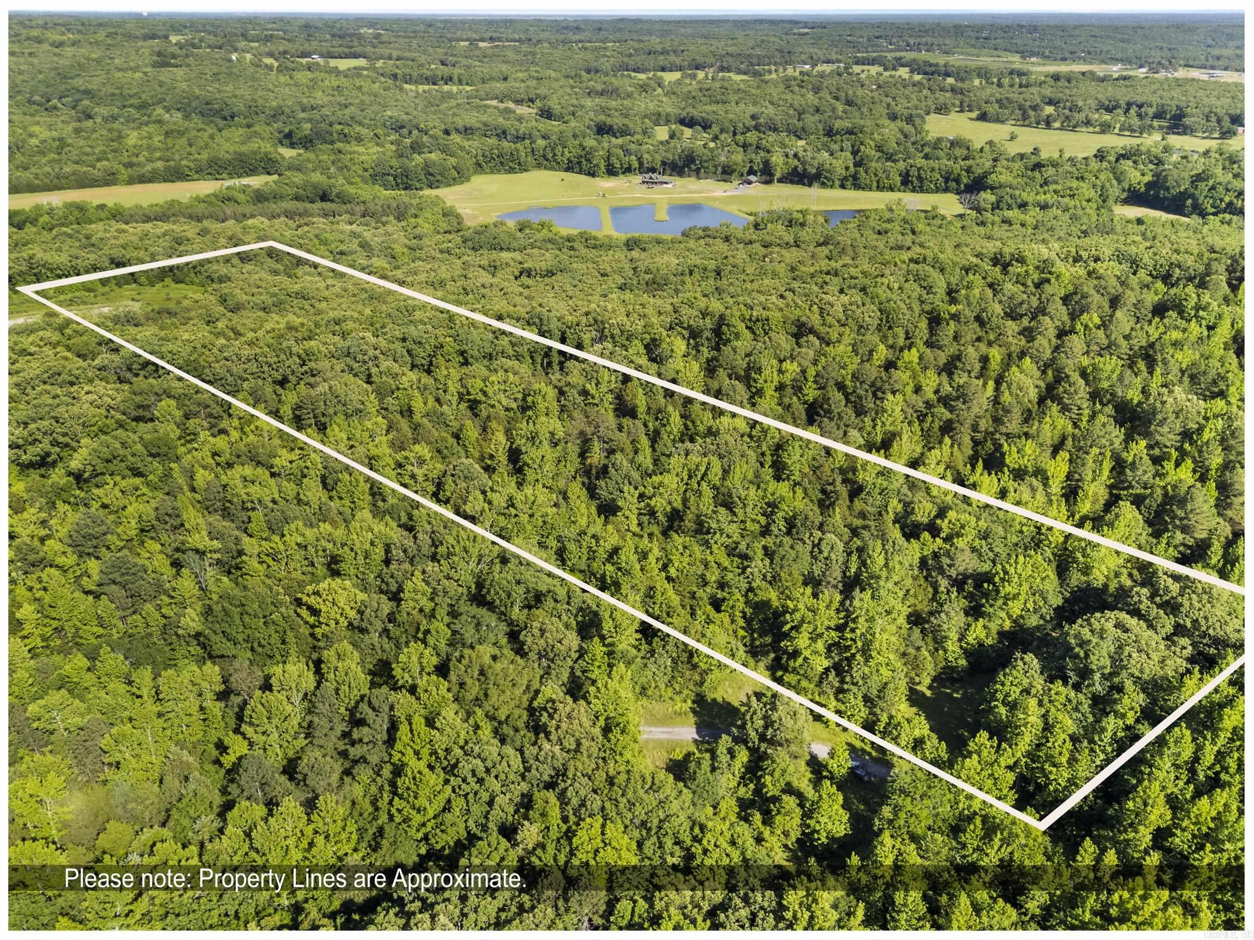 256 Rambo Loop Property Photo 6