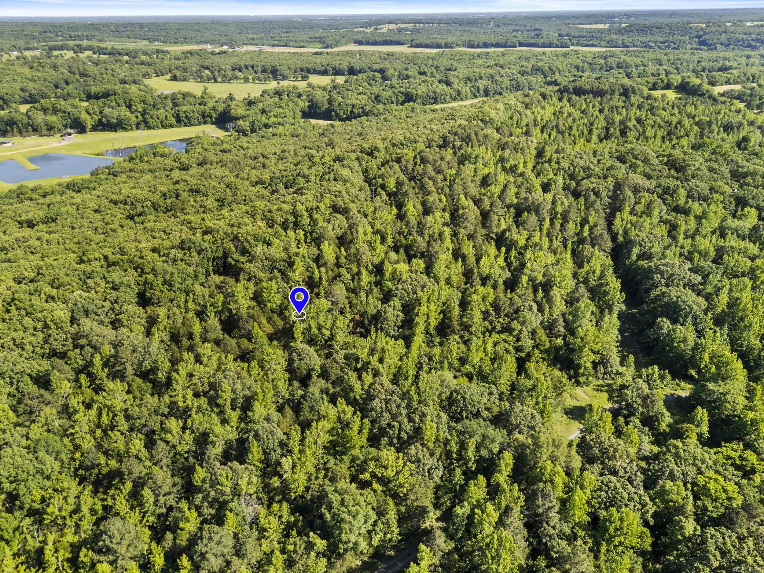 256 Rambo Loop Property Photo 7