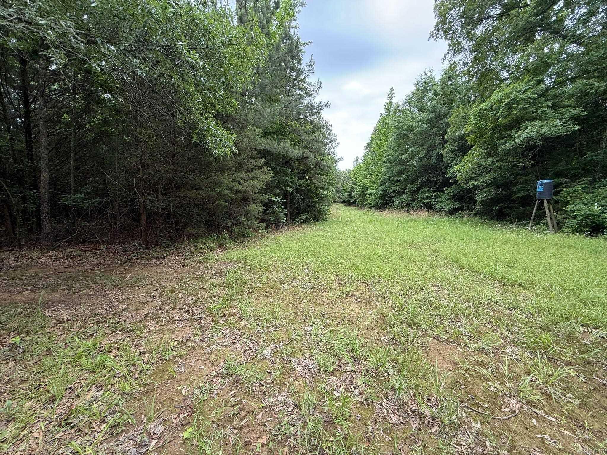 256 Rambo Loop Property Photo 8
