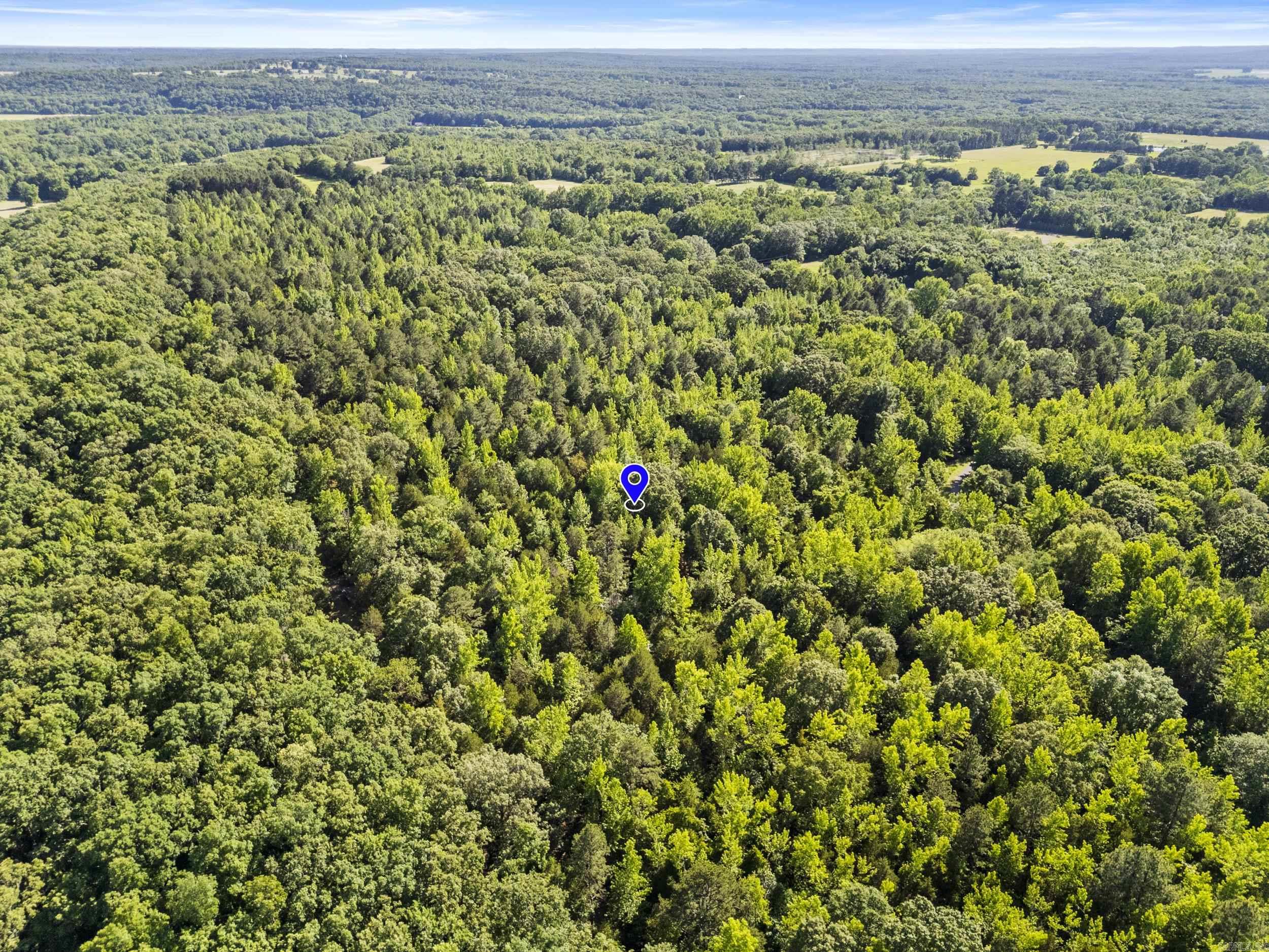 256 Rambo Loop Property Photo 9