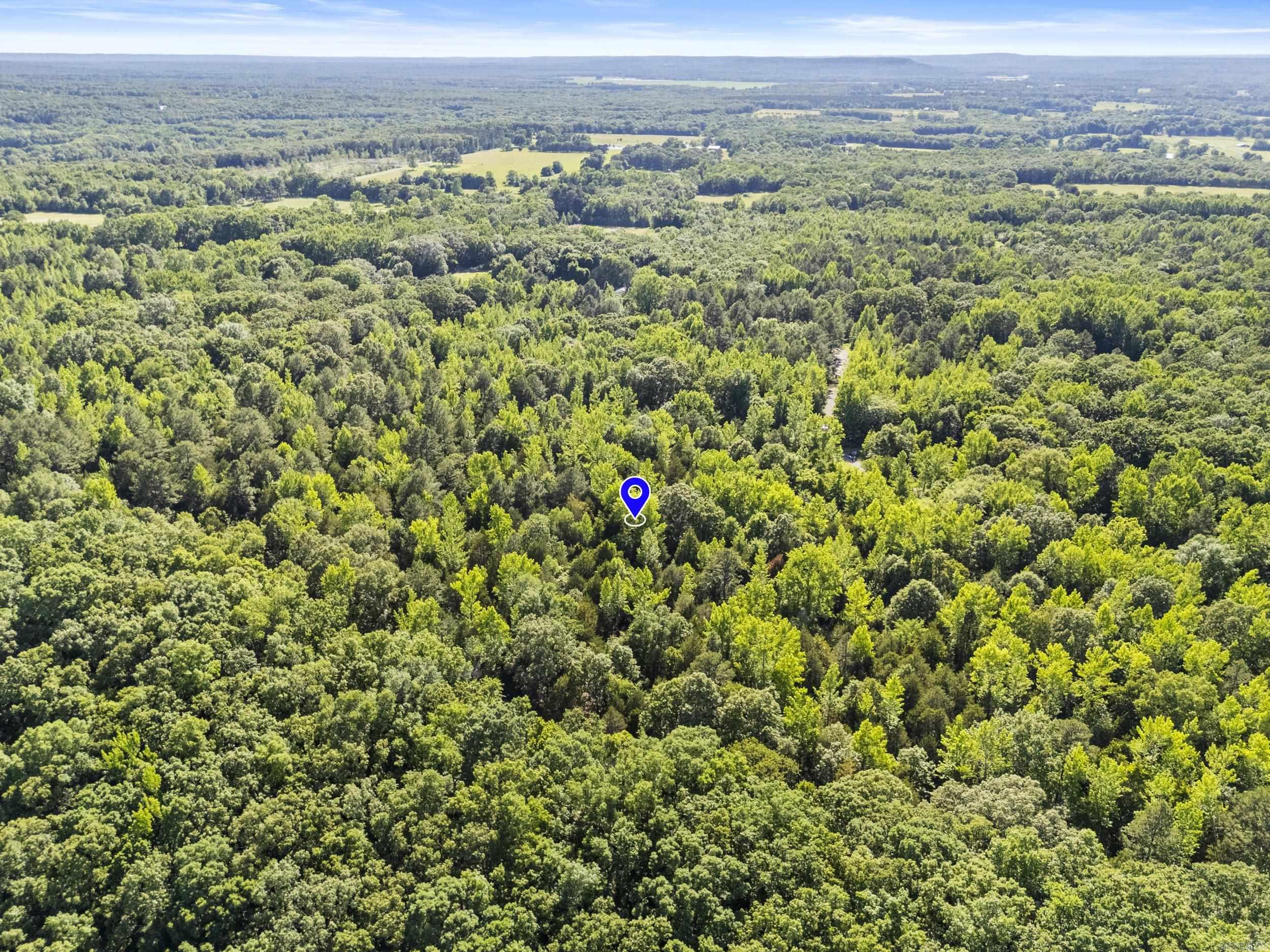 256 Rambo Loop Property Photo 10