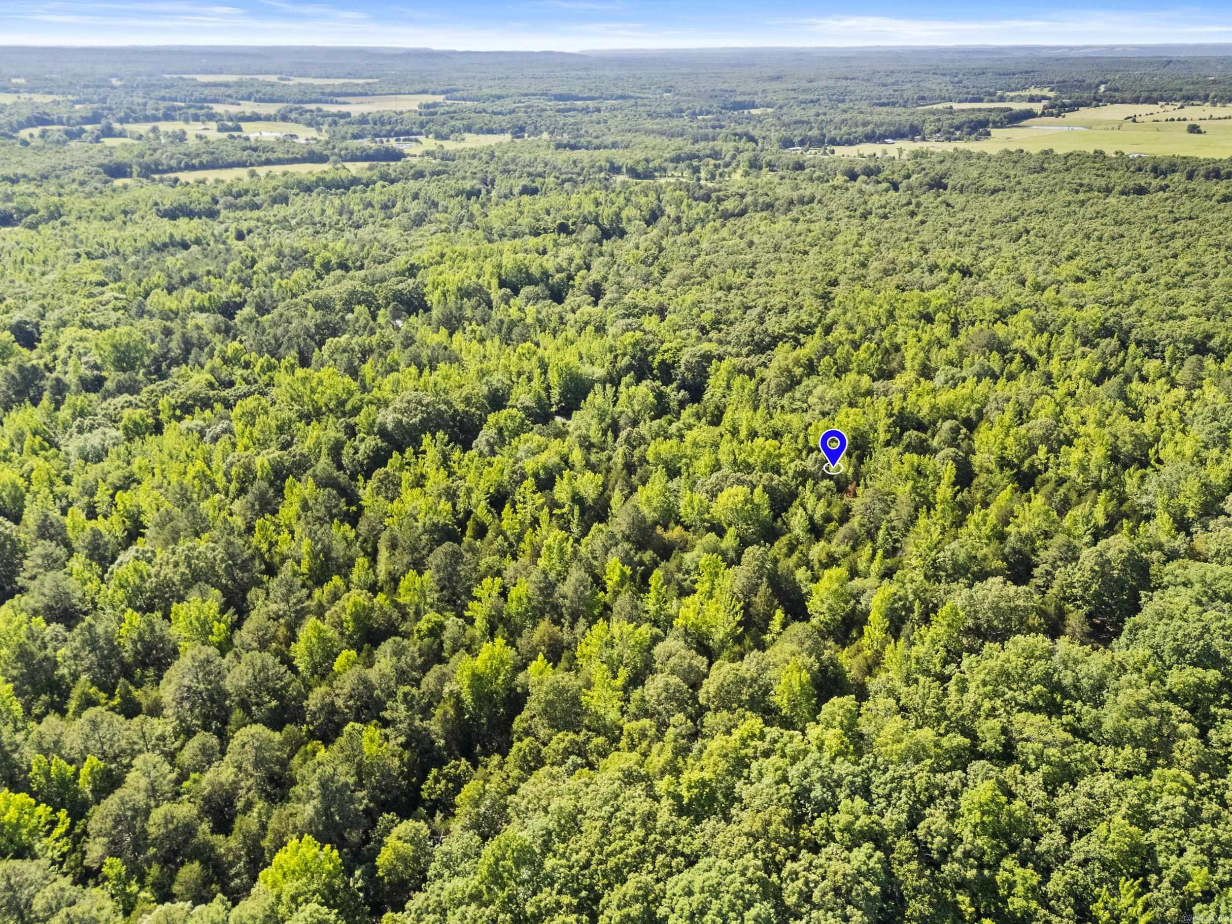 256 Rambo Loop Property Photo 11