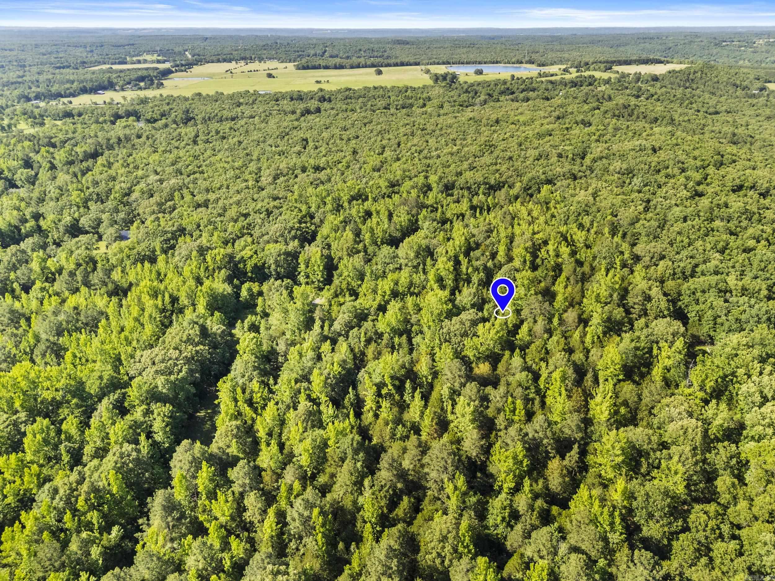 256 Rambo Loop Property Photo 12