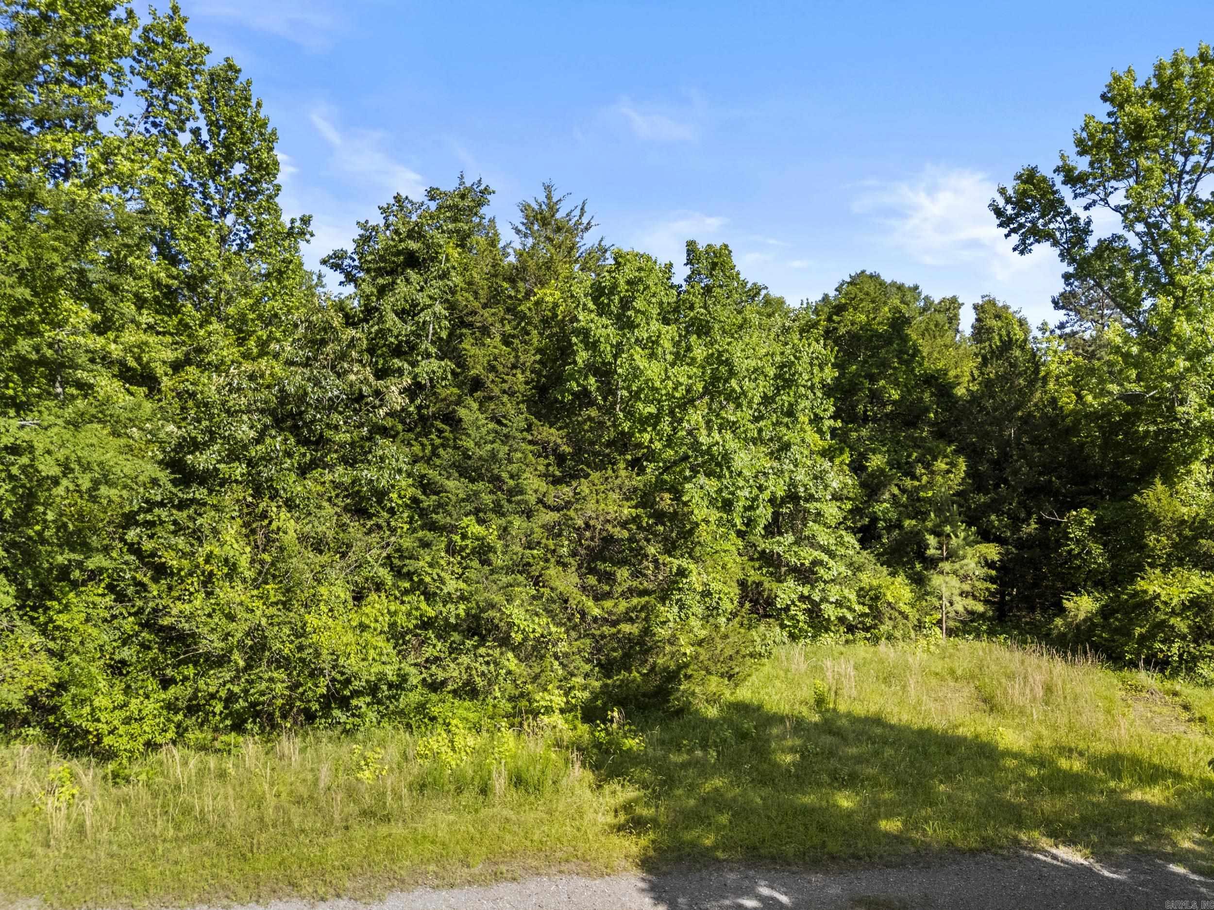 256 Rambo Loop Property Photo 14