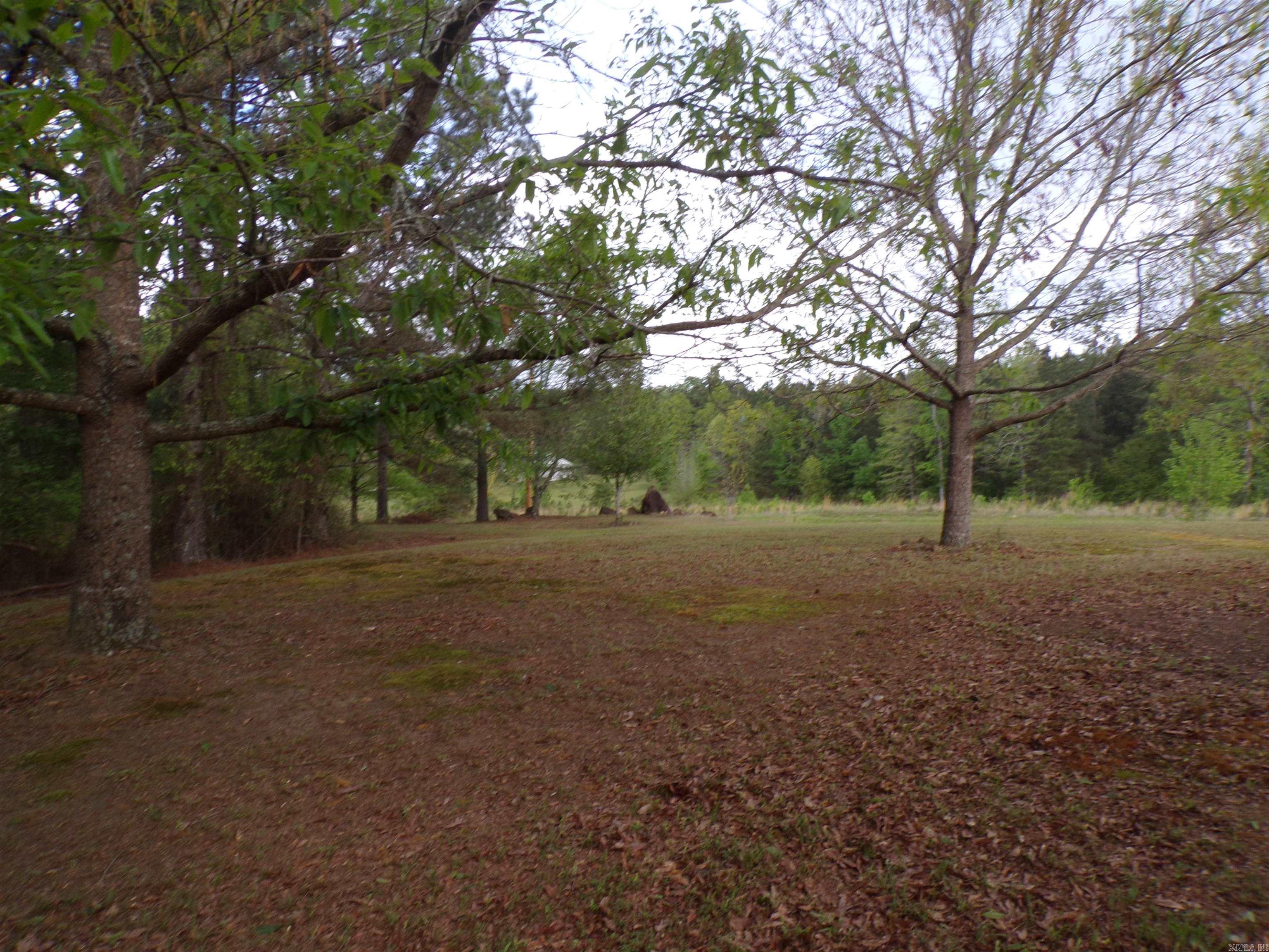 1807 Fendley Road Property Photo 7