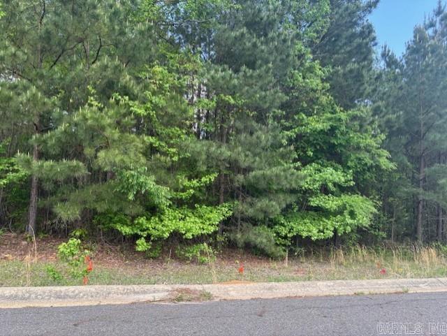 Lot 12 S Oak Valley Property Photo 1