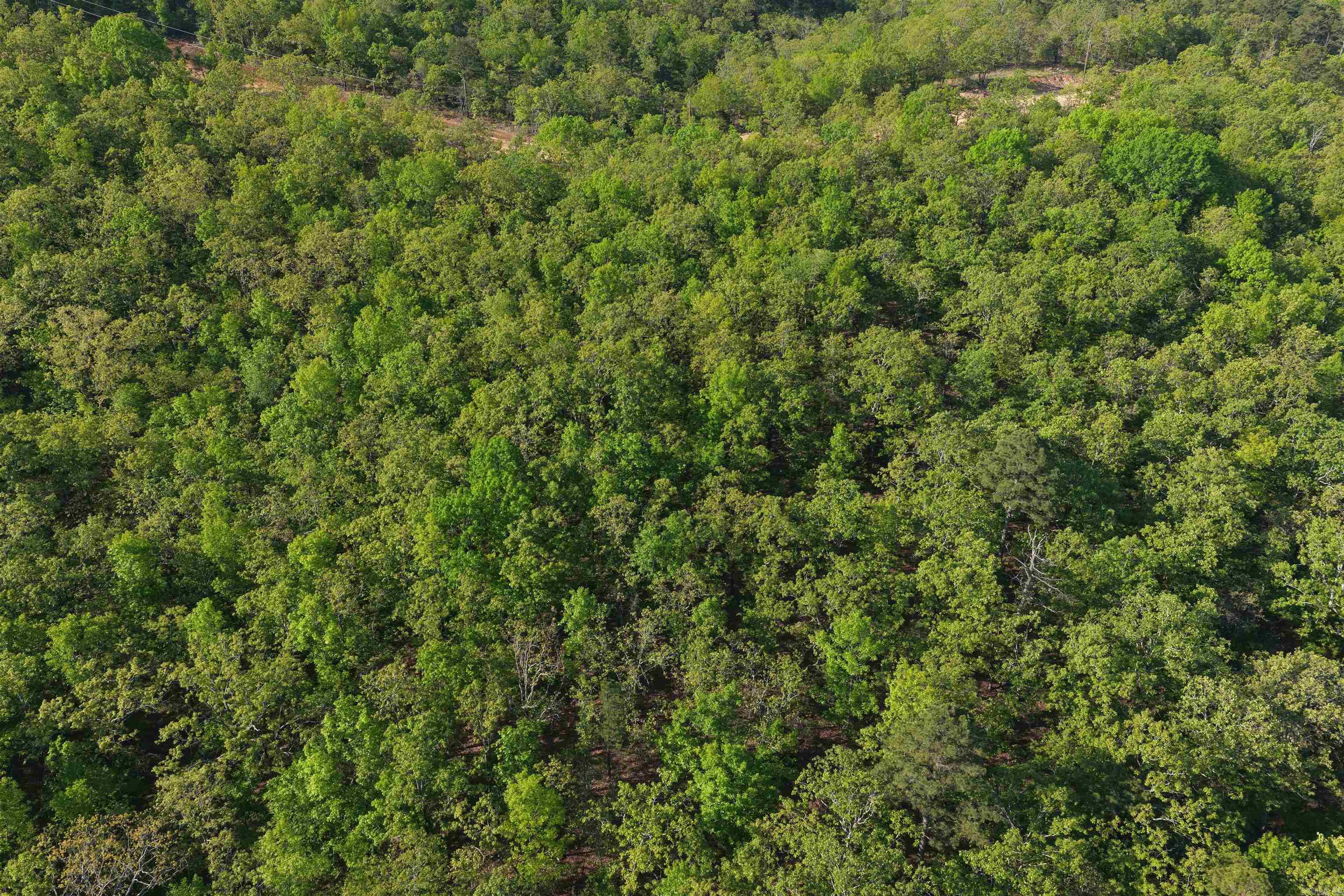 6 Sierra Sunset Cove Property Photo 8