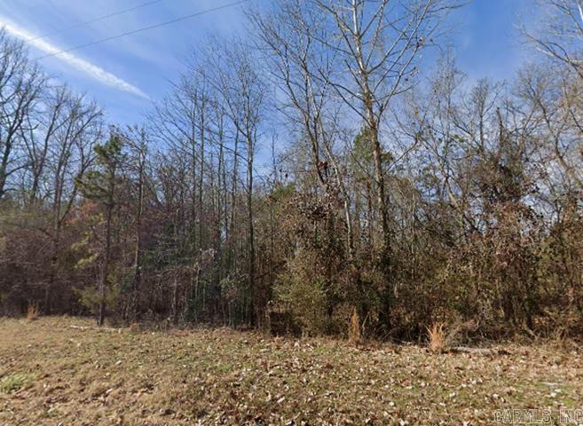 Unk Bay Ridge Drive Property Photo 3