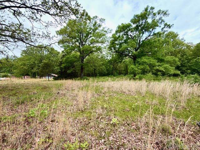 4206 Birmingham Lane Property Photo 1