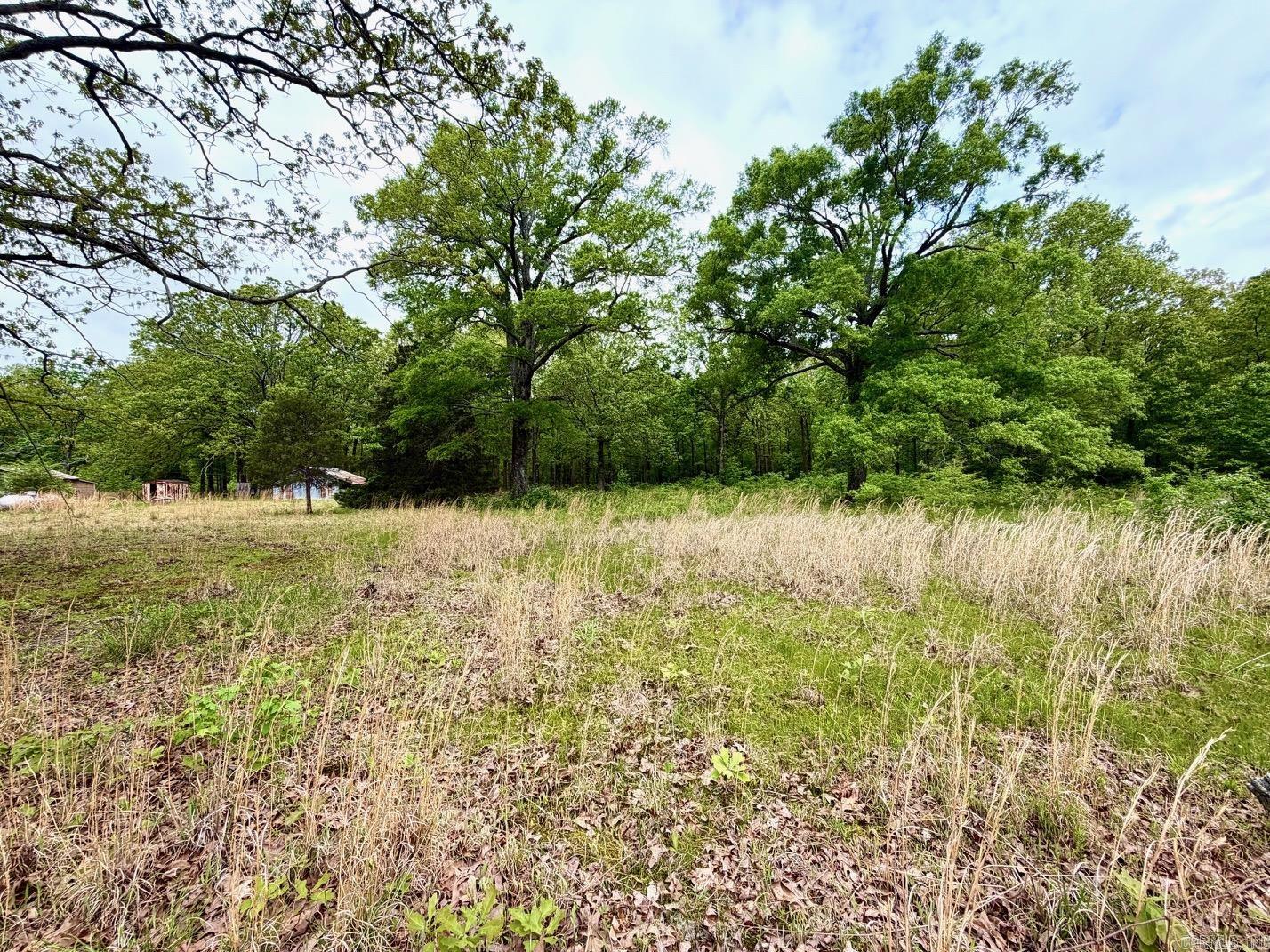 11123 Short Marche Road Property Photo 2