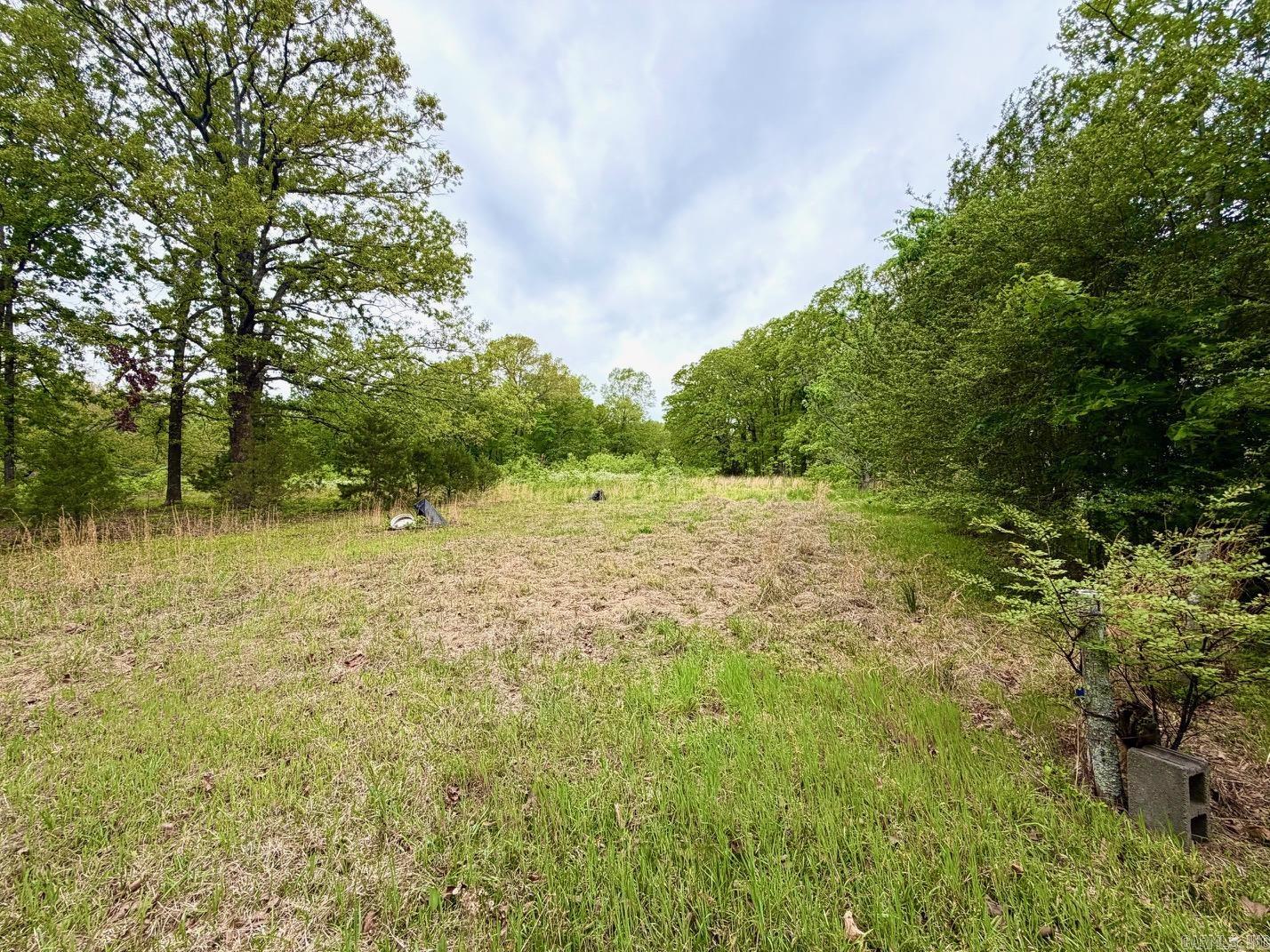 11123 Short Marche Road Property Photo 9