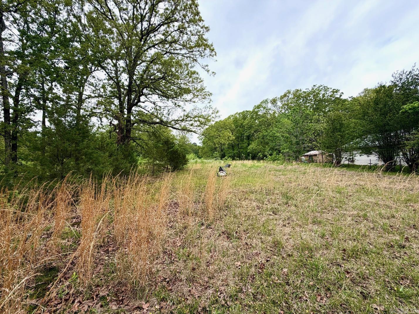 11123 Short Marche Road Property Photo 10