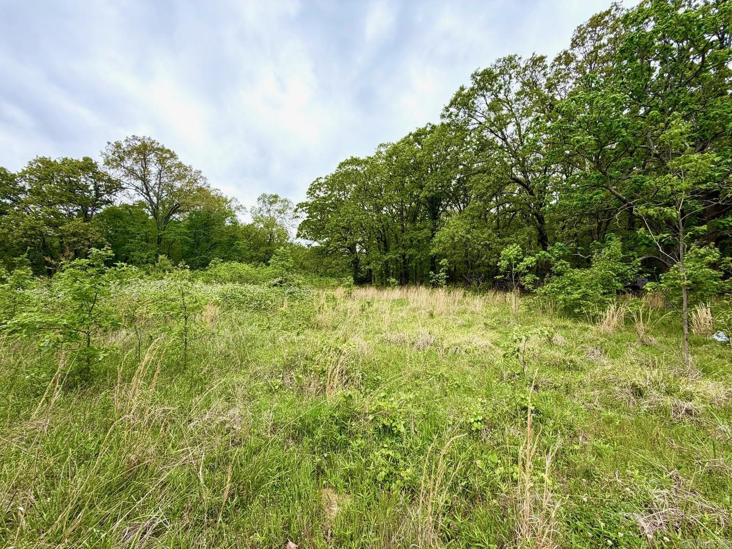 11123 Short Marche Road Property Photo 12