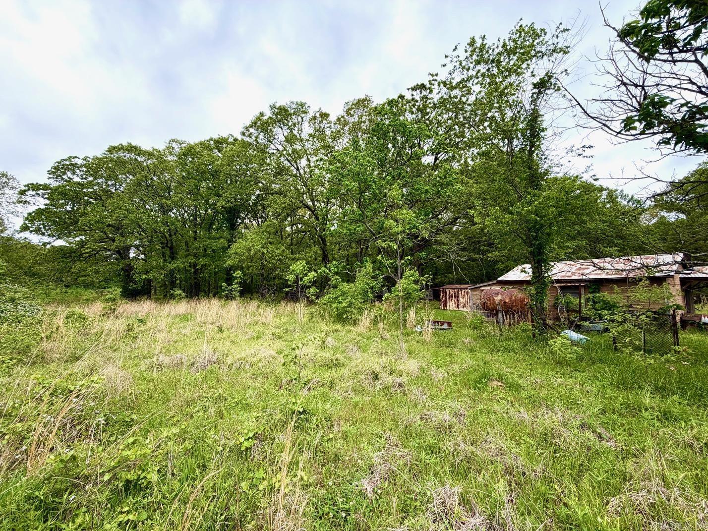 11123 Short Marche Road Property Photo 13