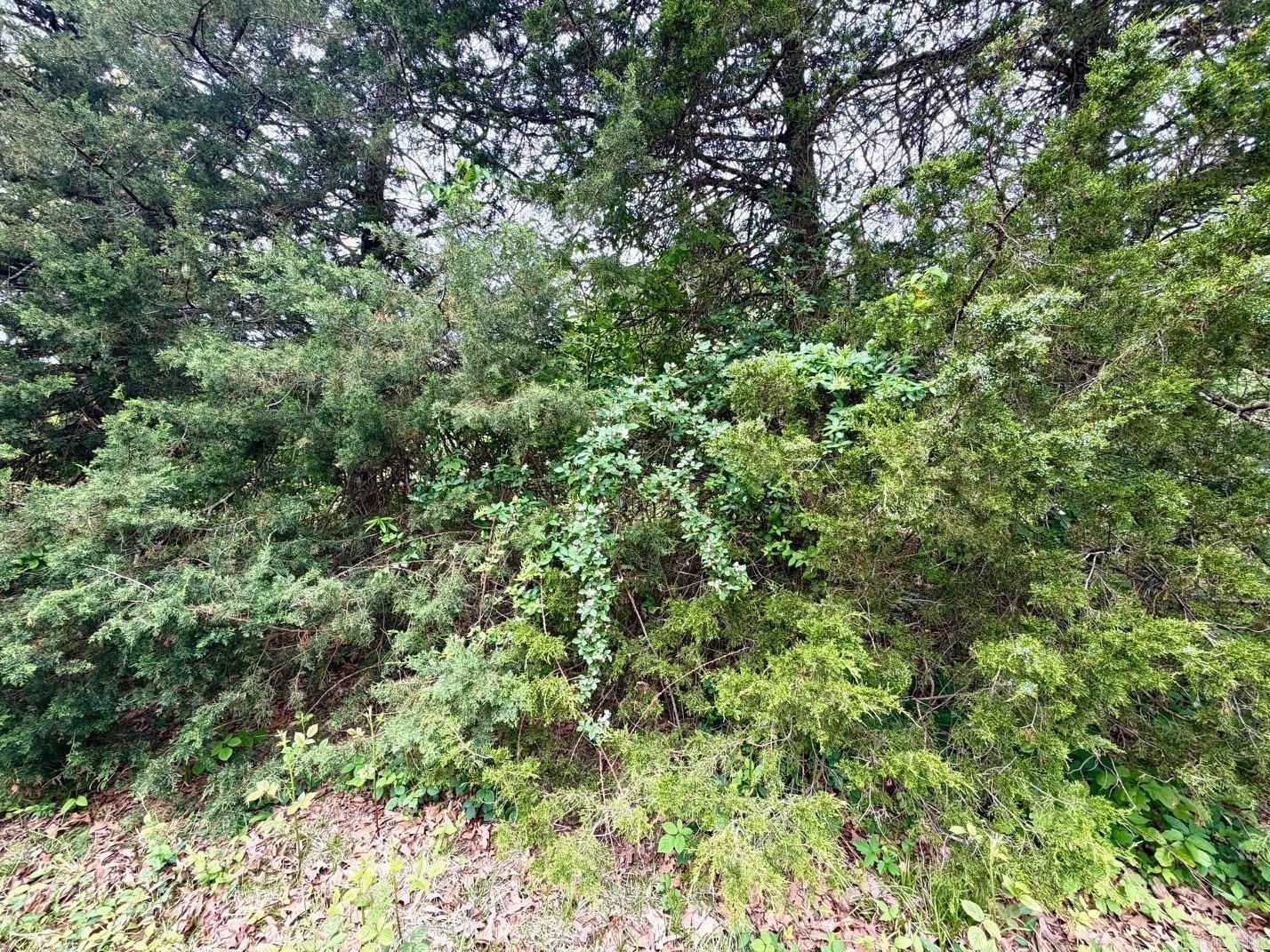 11123 Short Marche Road Property Photo 24