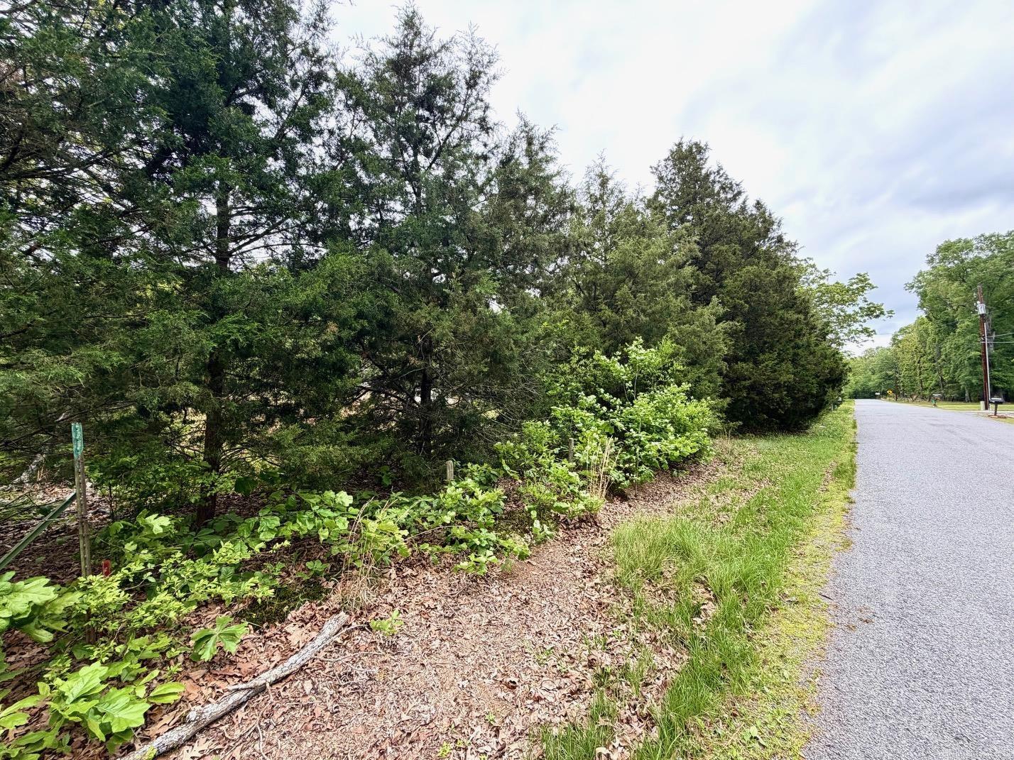 11123 Short Marche Road Property Photo 25