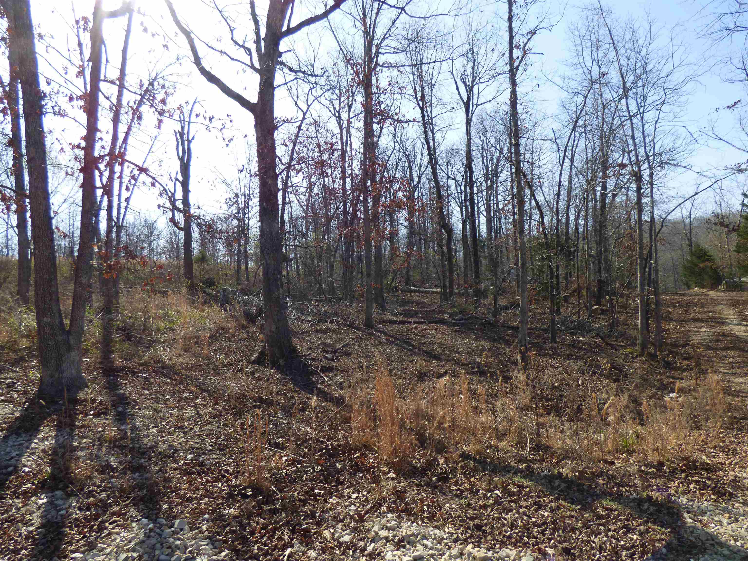 42 Chisolm Trail Property Photo 2