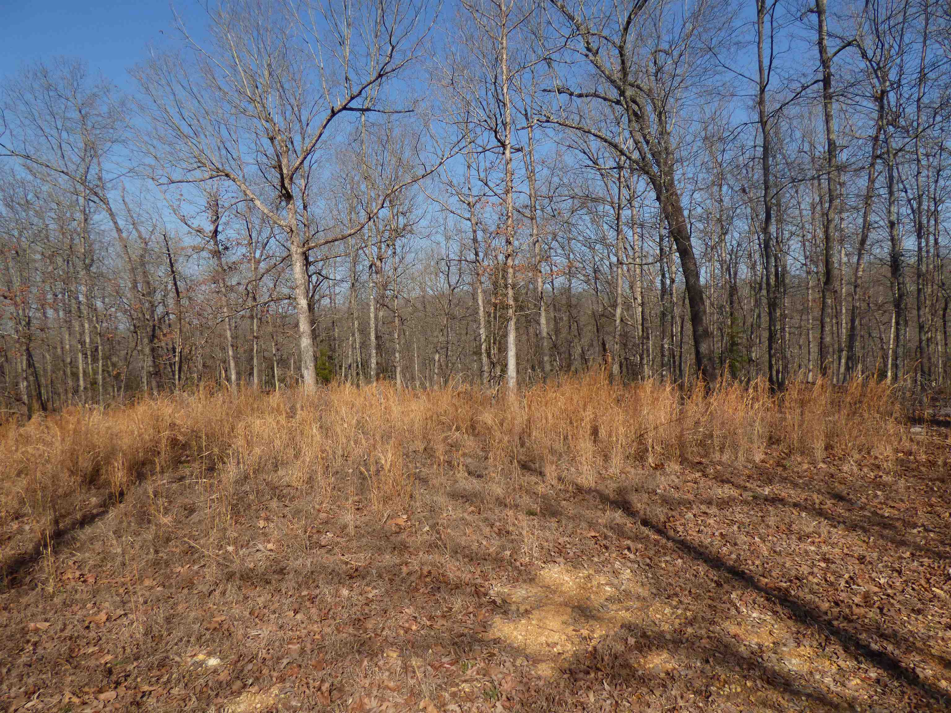42 Chisolm Trail Property Photo 6