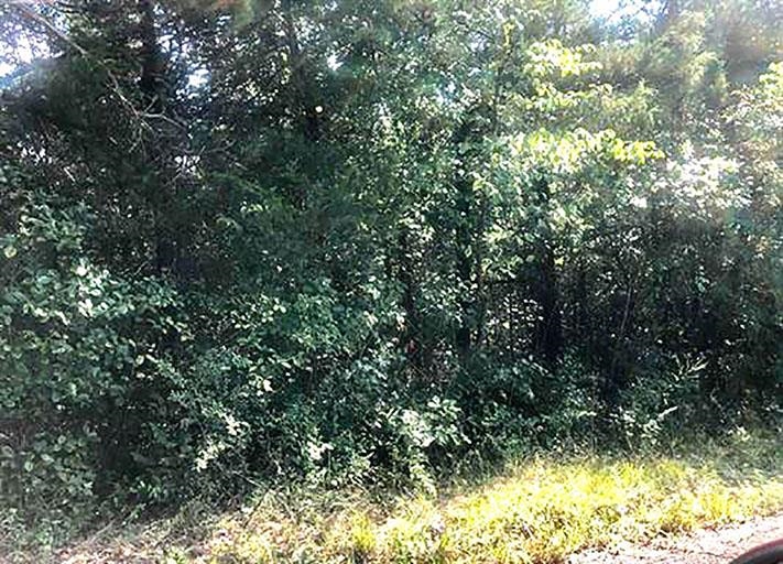 TBD Enid Drive Property Photo 1