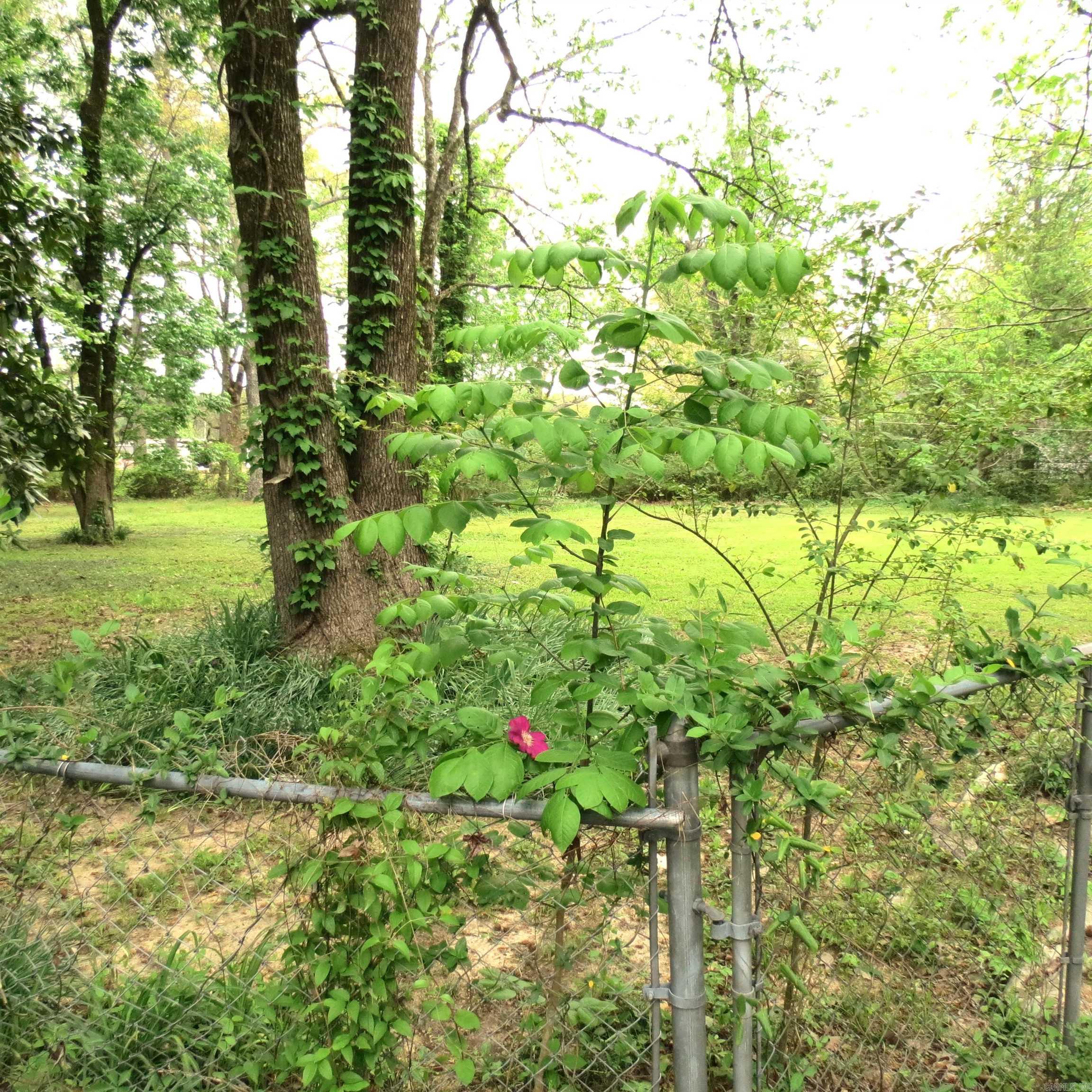 8450 Victoria Drive Property Photo 47