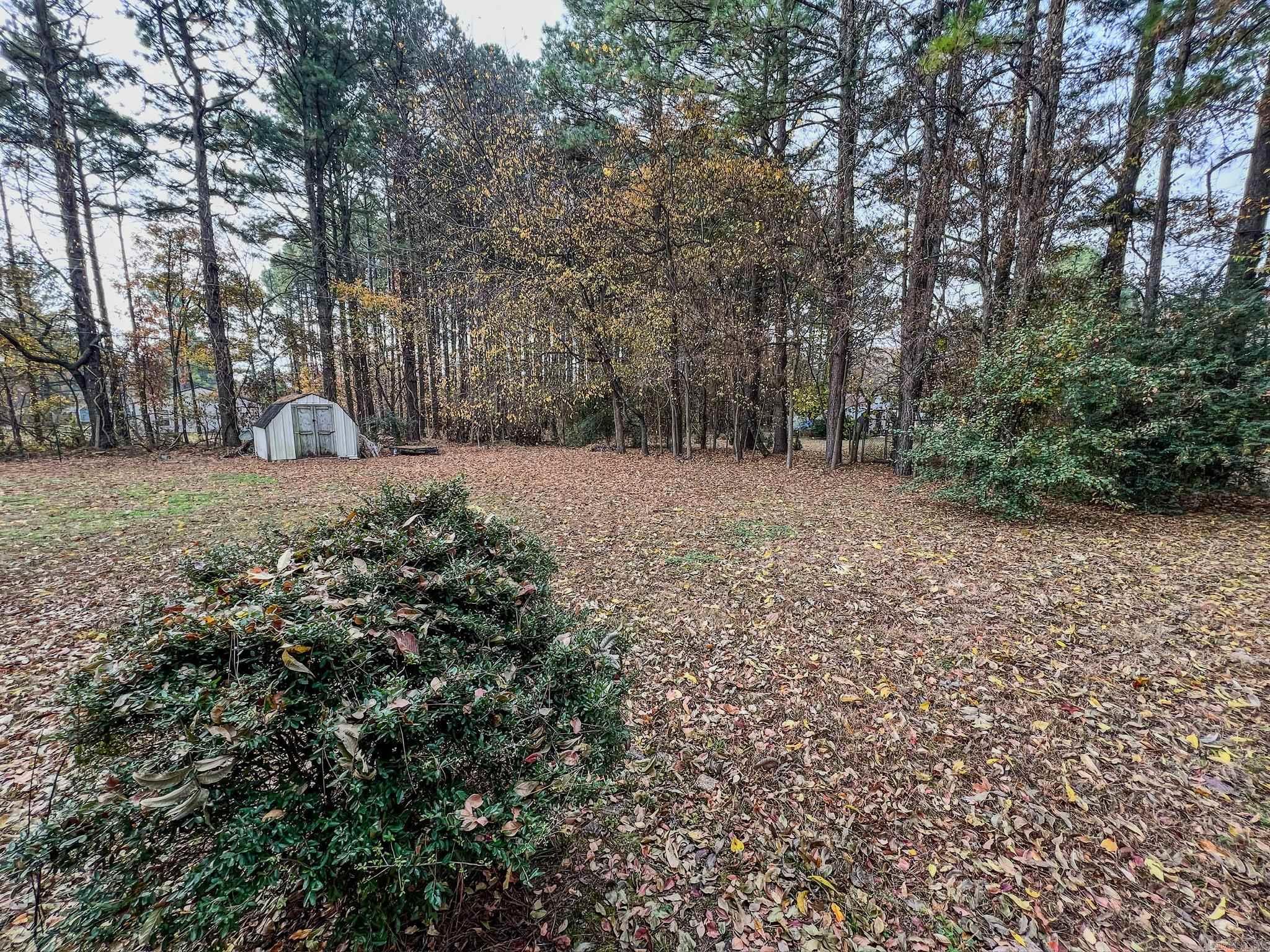 170 County Road 409 Property Photo 22