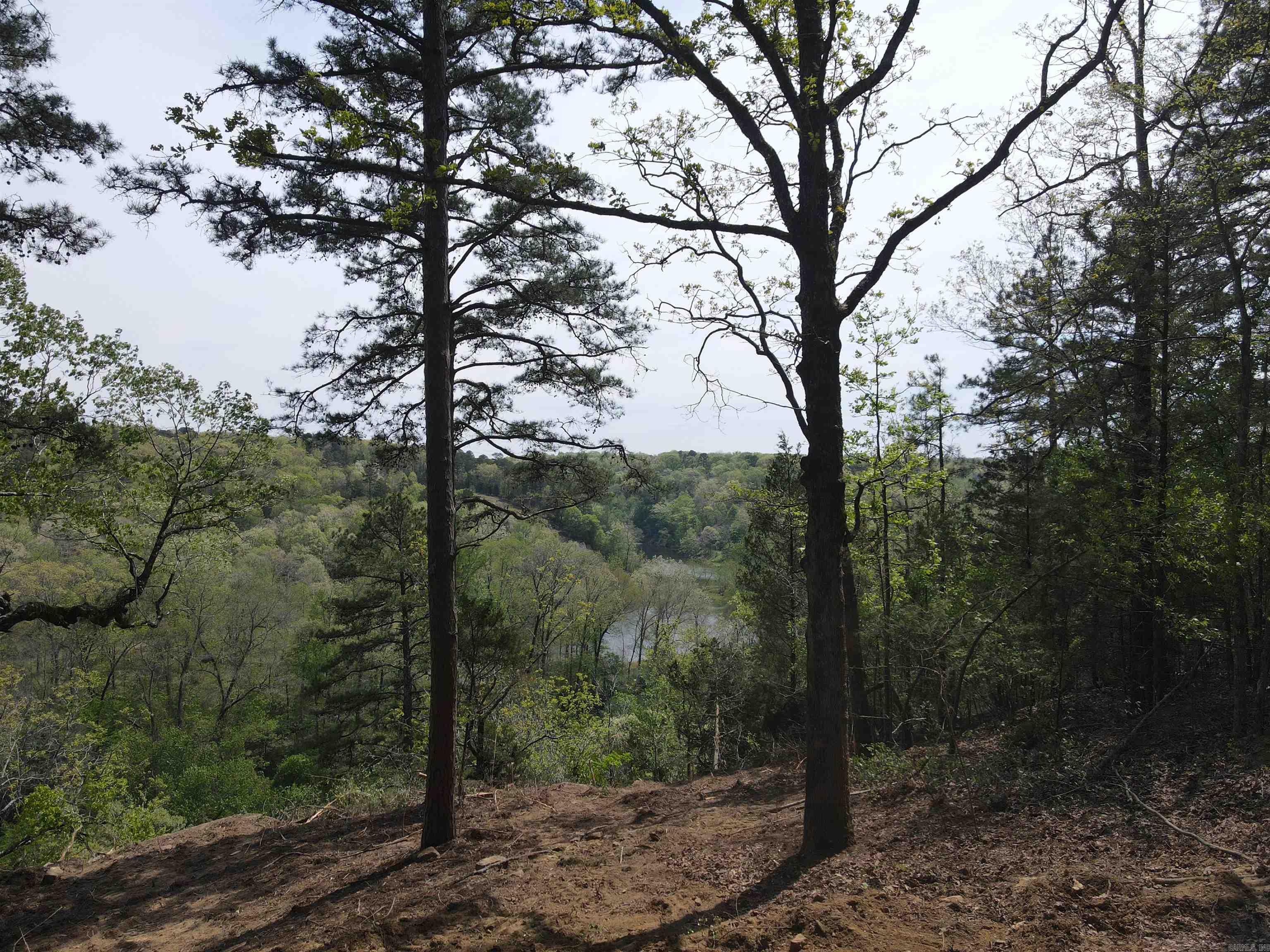 Tract 1 Fox Pen Rd. Property Photo 5