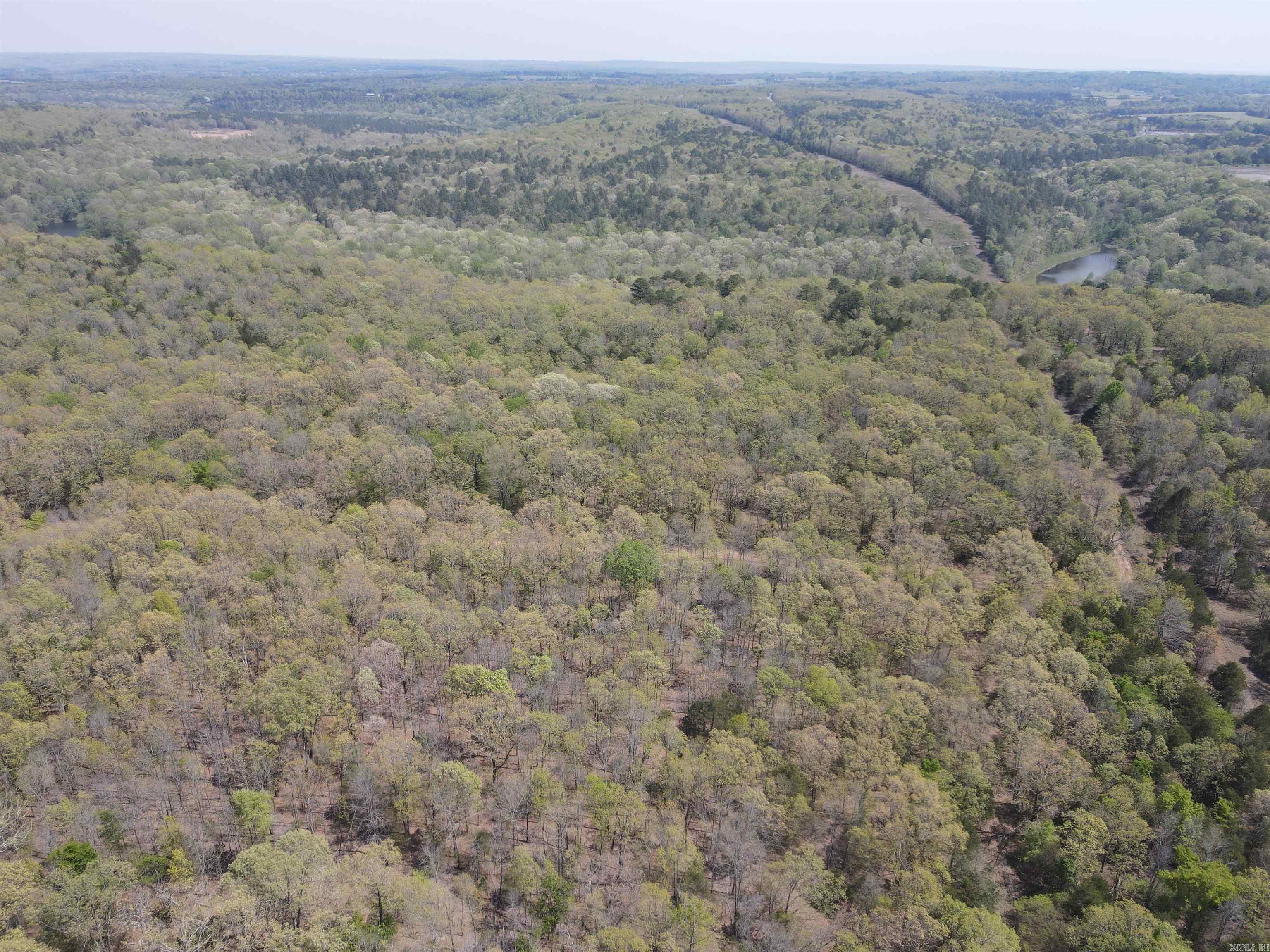 Tract 1 Fox Pen Rd. Property Photo 13
