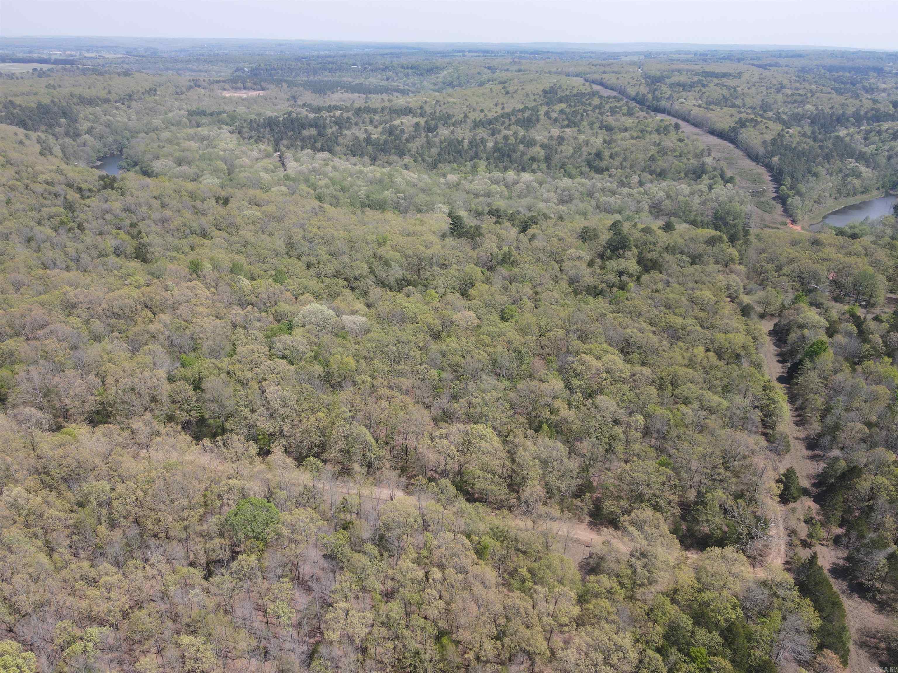 Tract 1 Fox Pen Rd. Property Photo 14