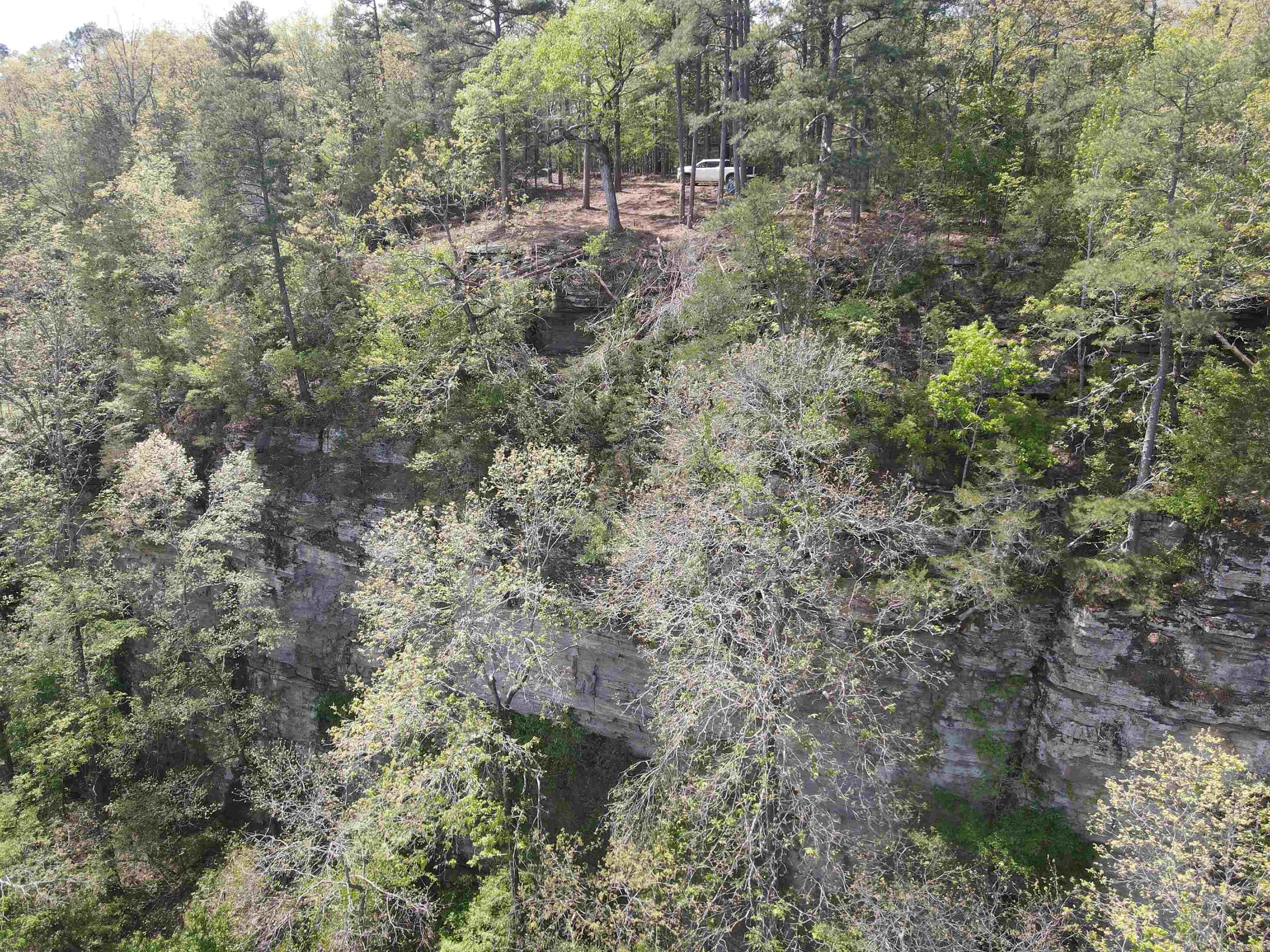 Tract 1 Fox Pen Rd. Property Photo 20